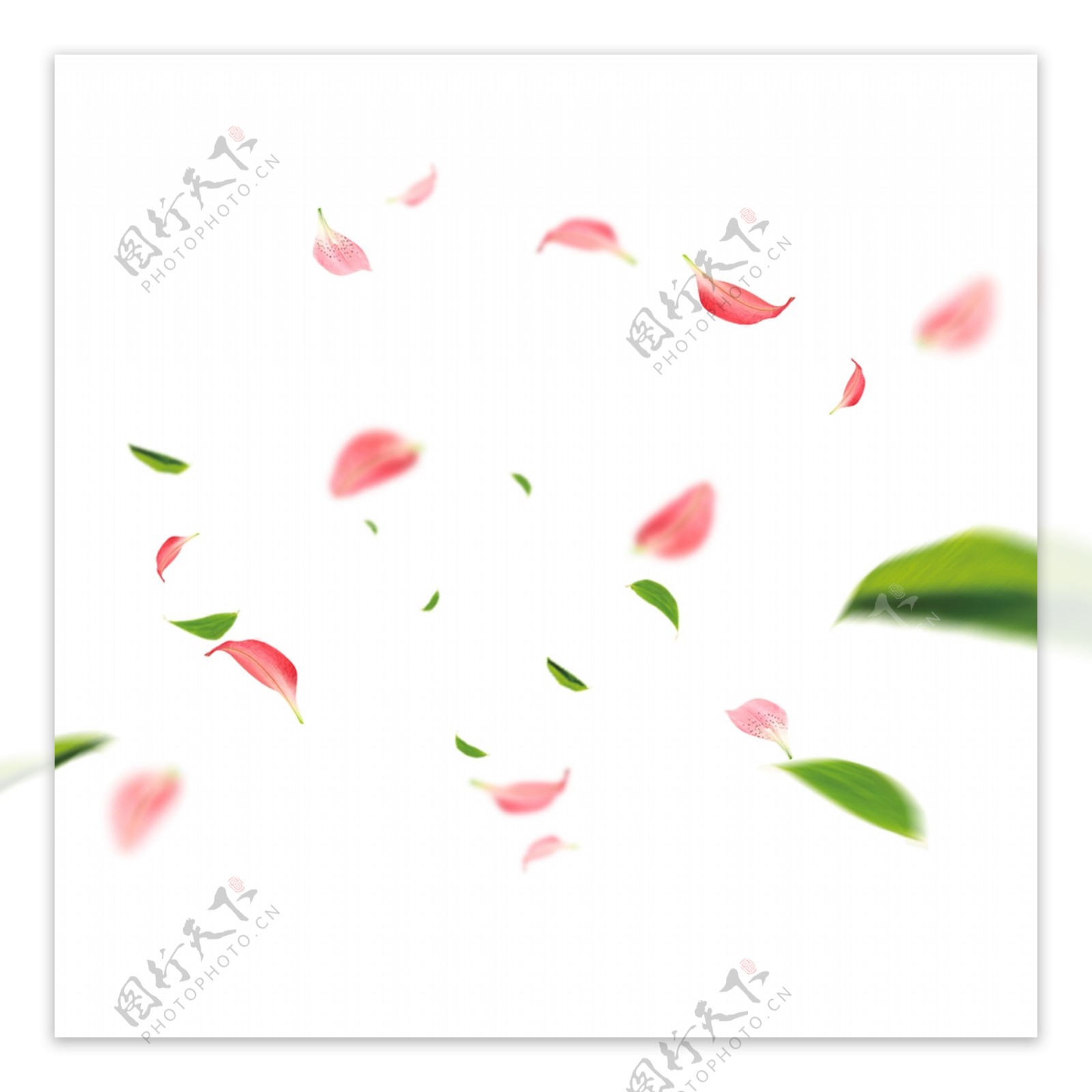 粉色桃花花瓣设计元素