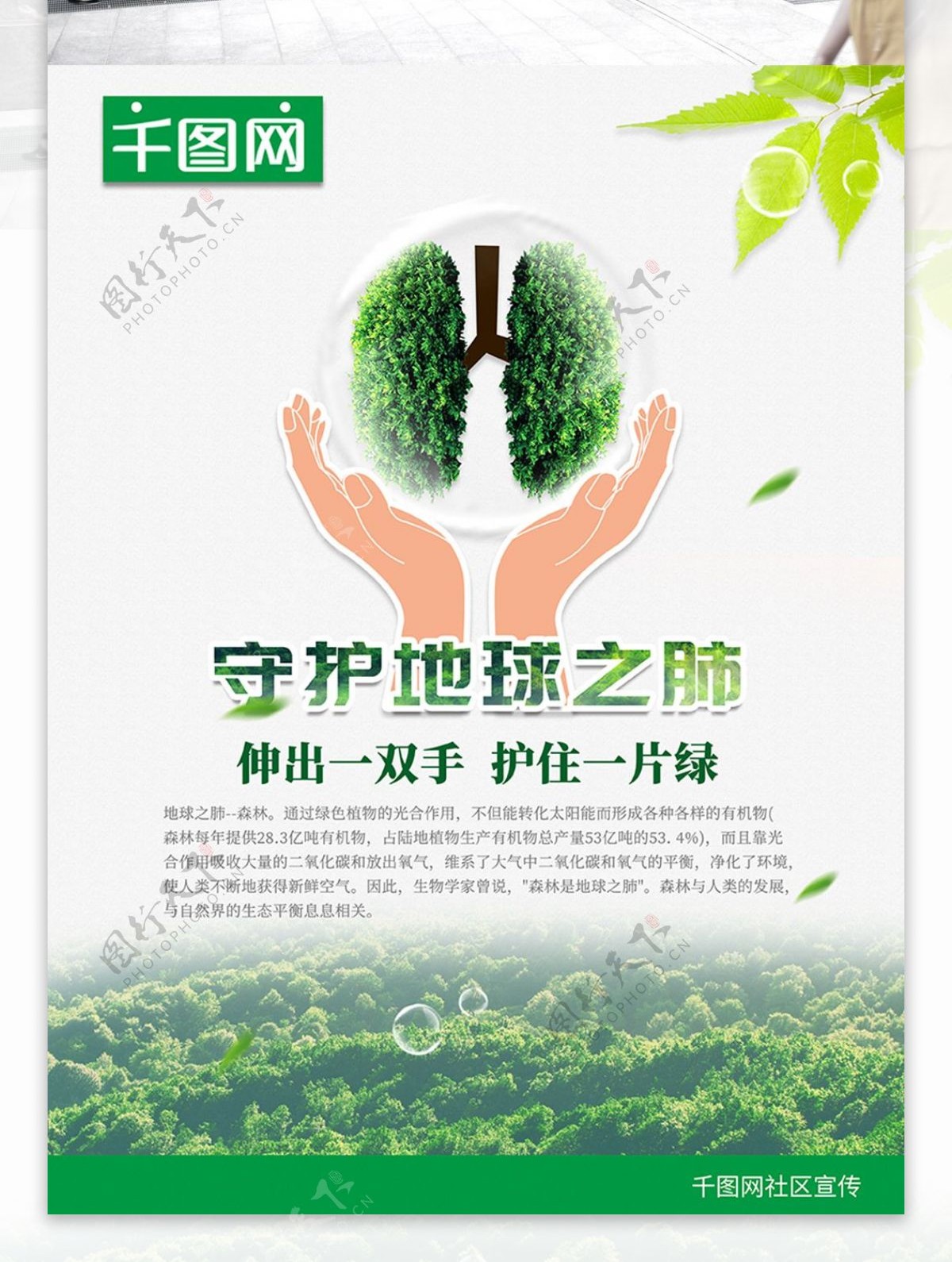 清新绿色守护地球之肺爱护森林公益海报