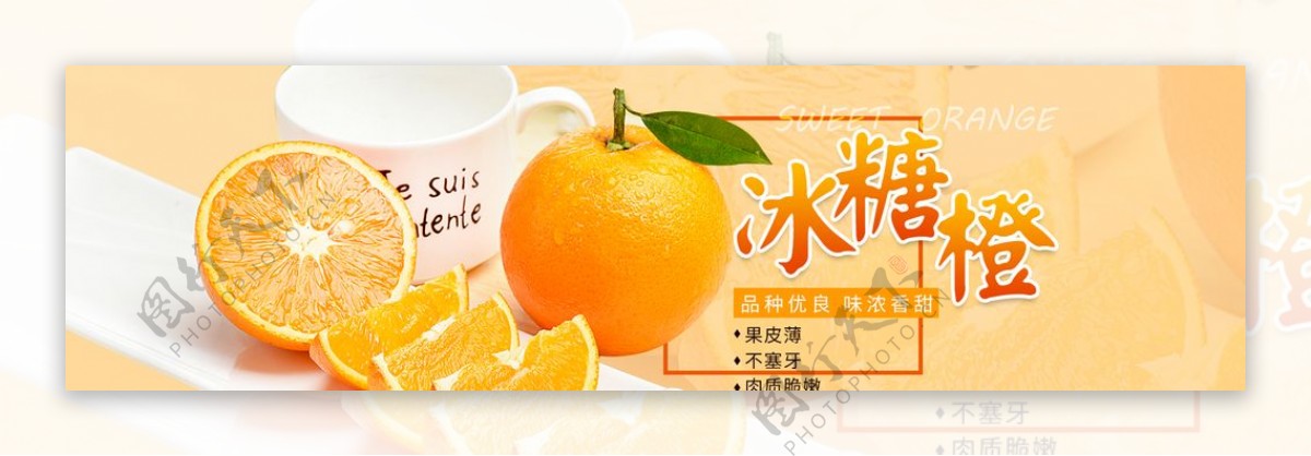 冰糖橙banner