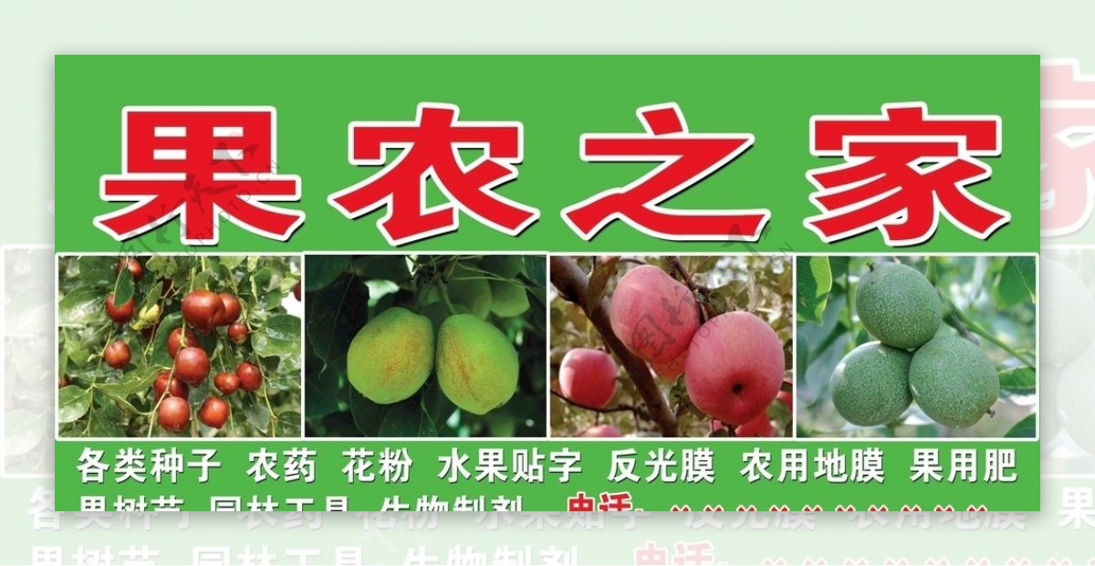 红枣苹果香梨核桃种植种子