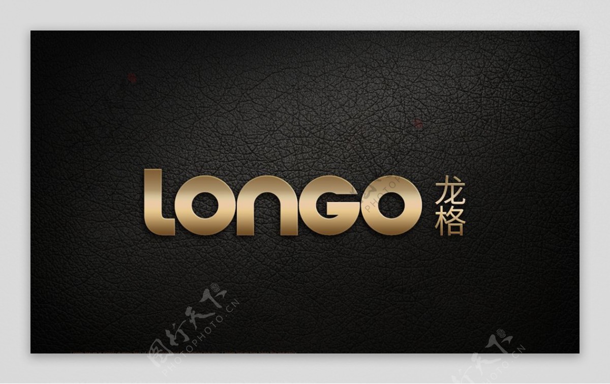 龙格logo应用