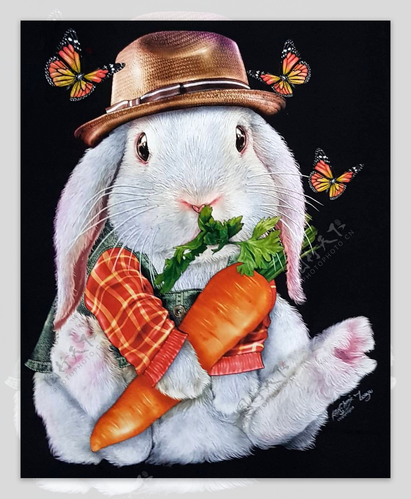 兔子吃萝卜