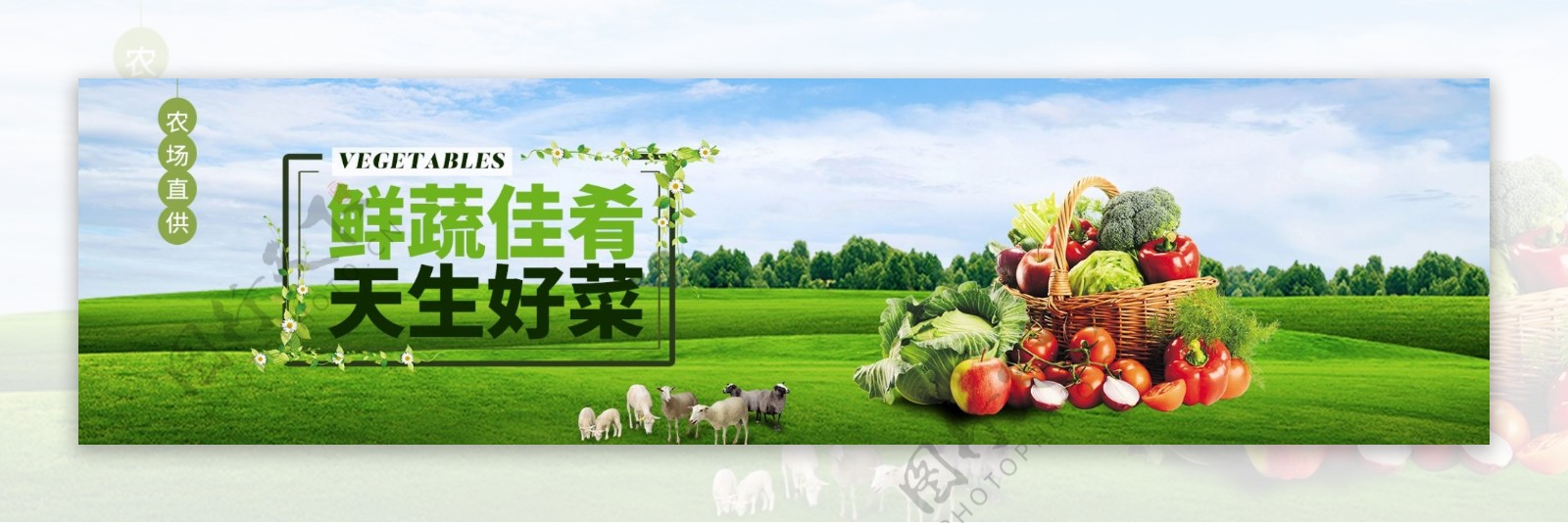 蔬菜食品淘宝海报banner