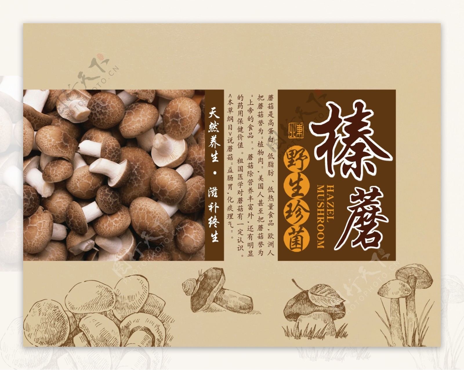 干锅茶树菇特色干锅茶树菇