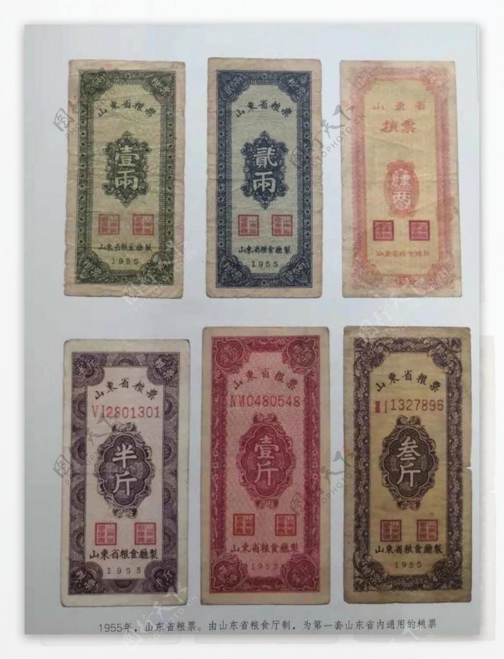 1955年山东省粮票