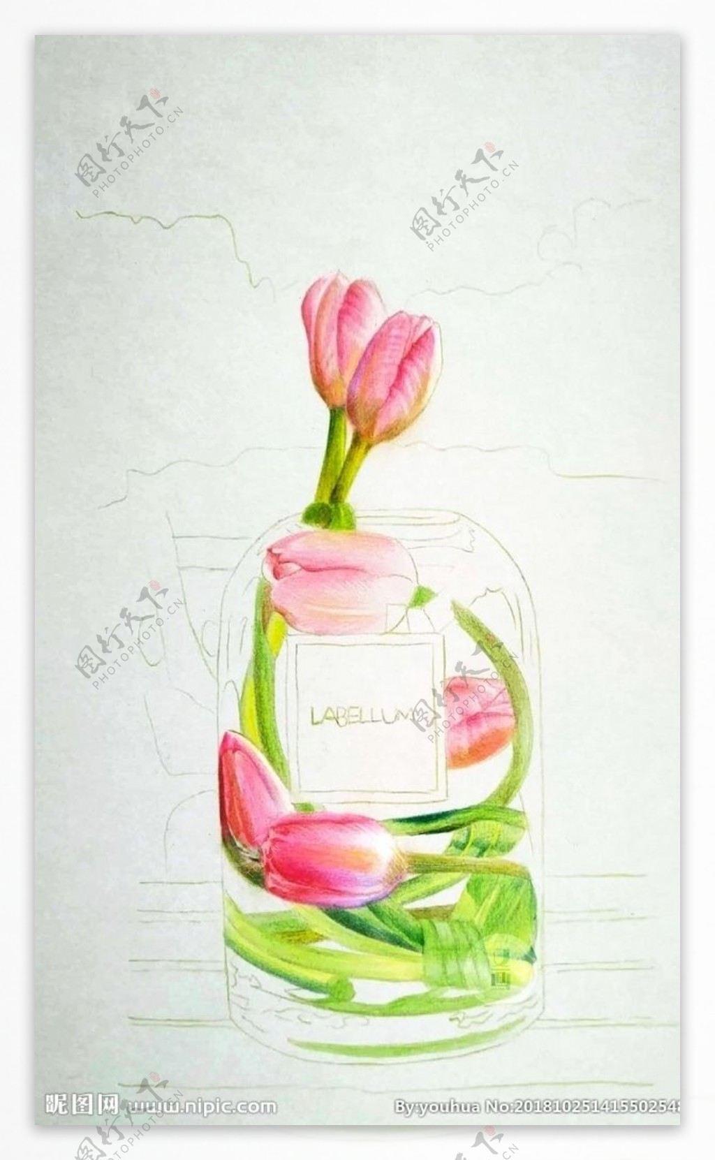 彩铅写实绘画郁金香玻璃花瓶