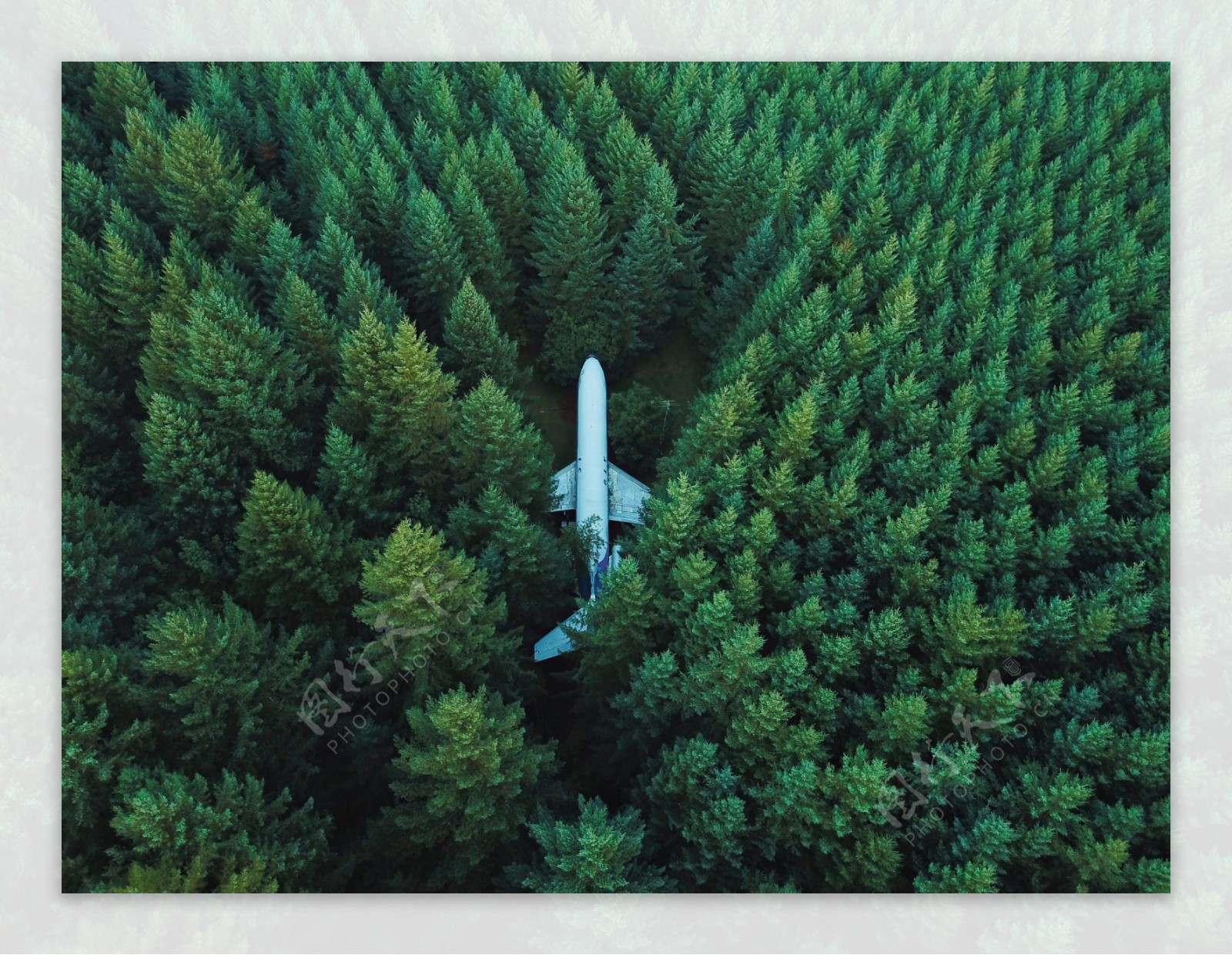 森林中的飞机