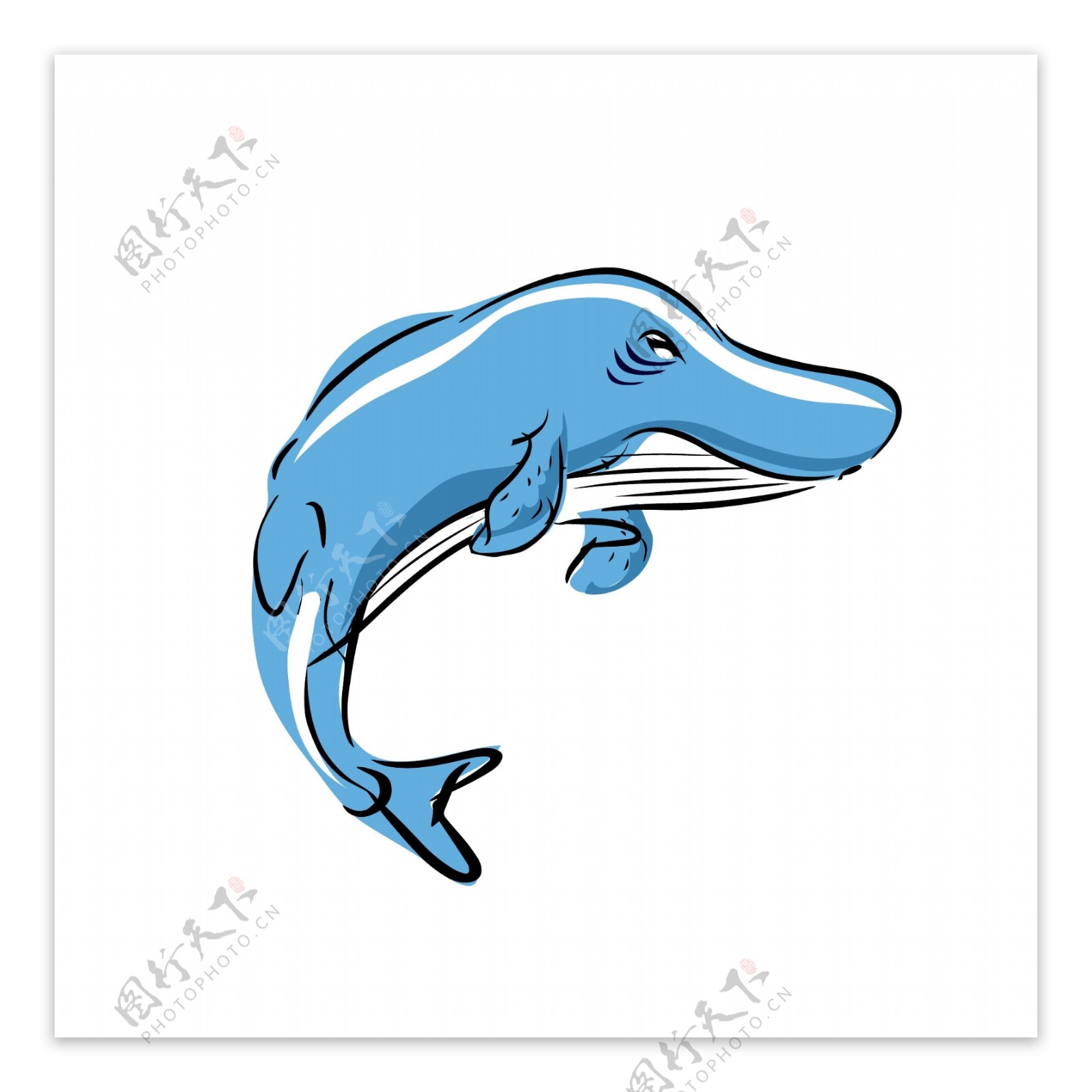 卡通水彩风海洋动物蓝色海鲸鱼