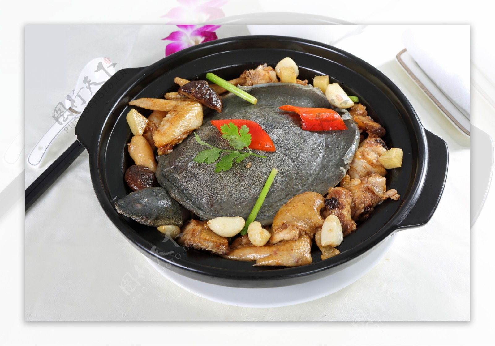 传统菜品甲鱼烧鸡