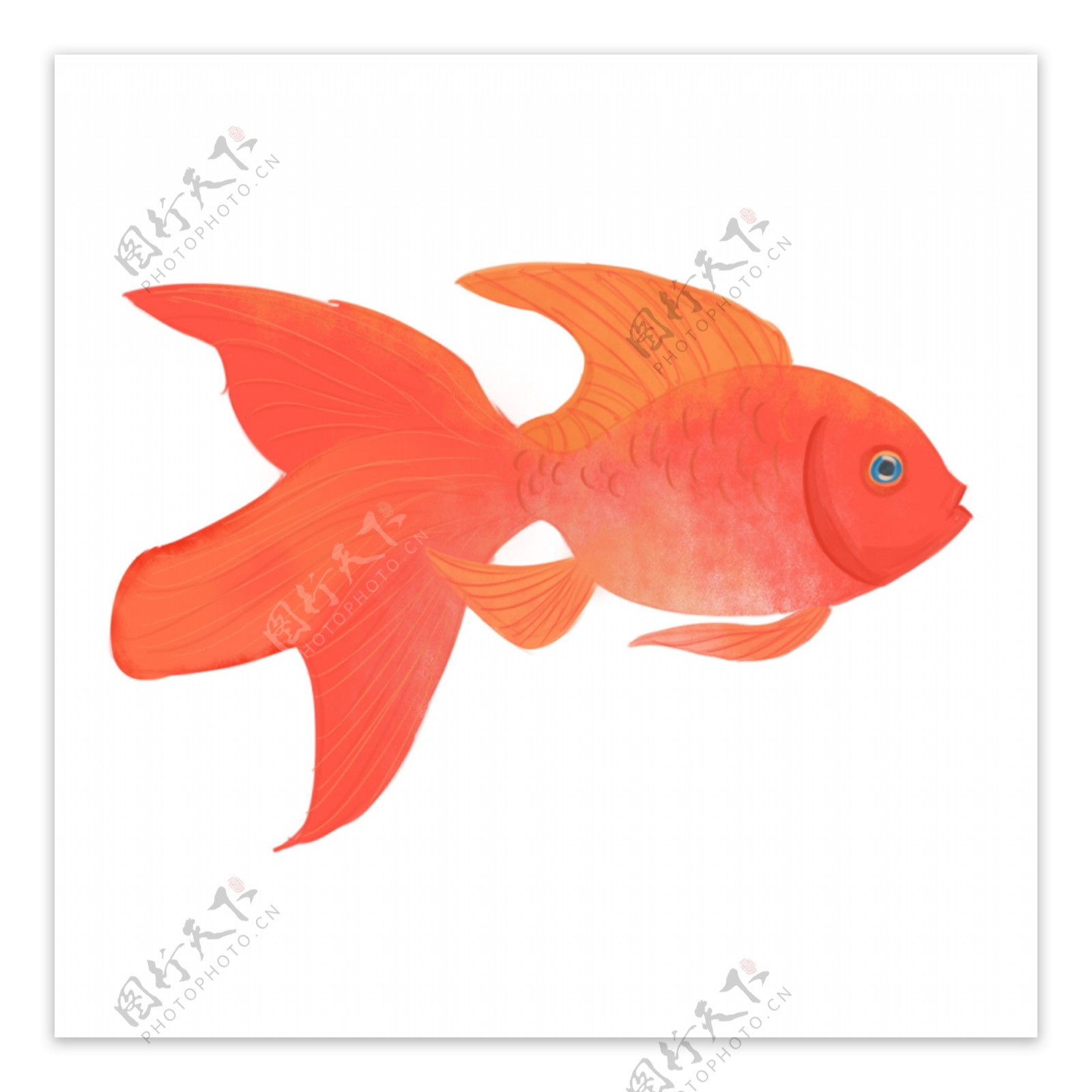 可商用红色喜庆中国风手绘元素金鱼装饰图案