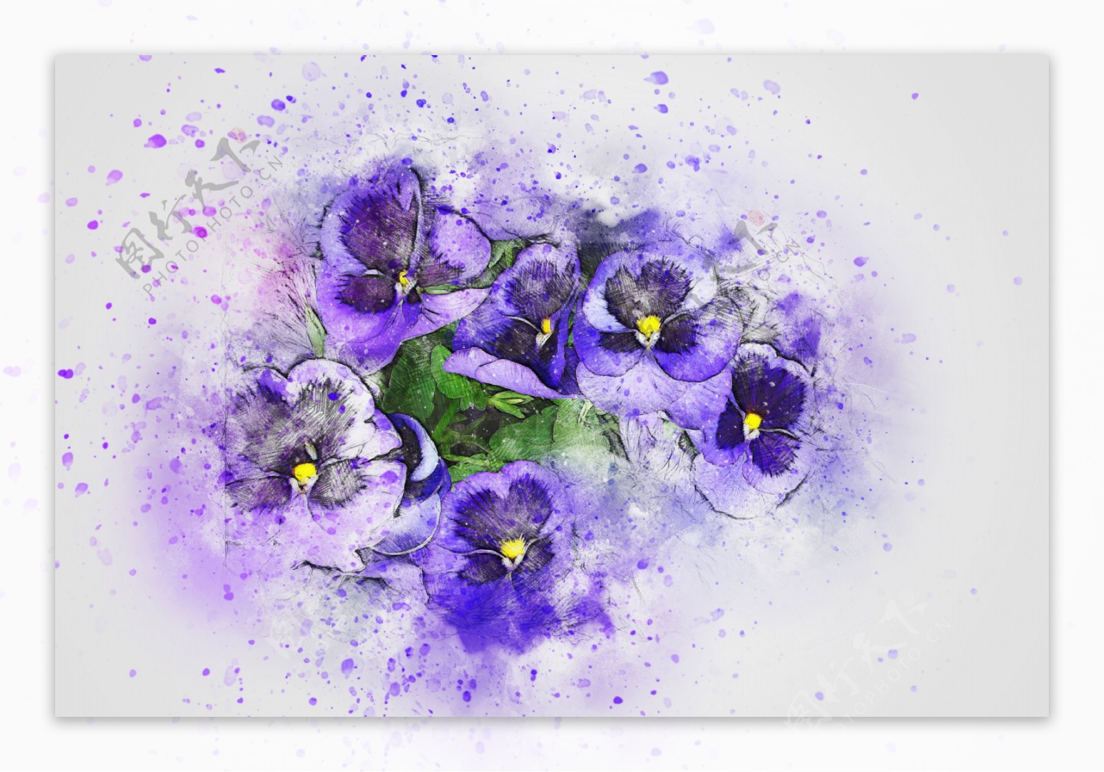 水彩抽象紫色花朵