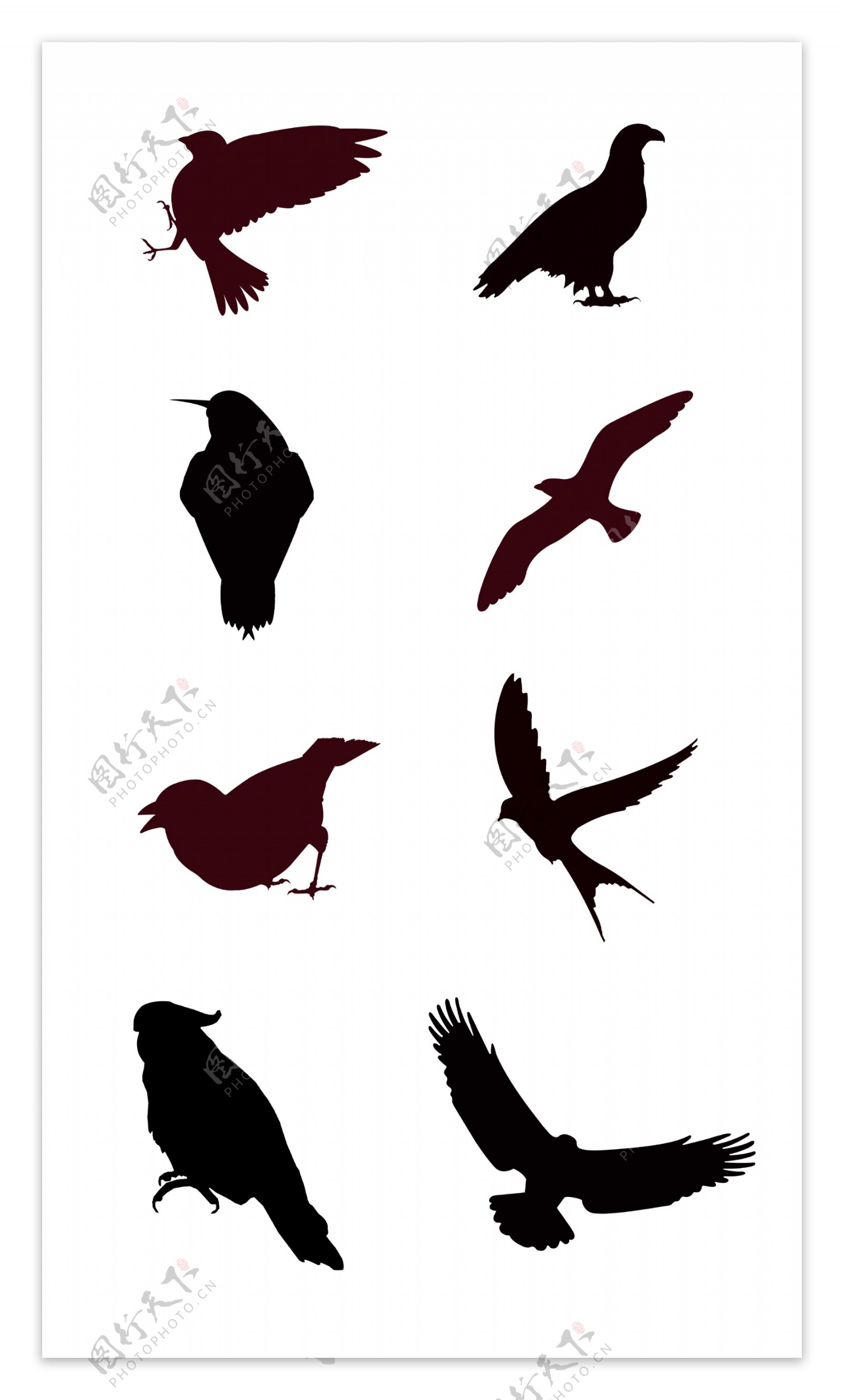 八种鸟类黑色剪影元素