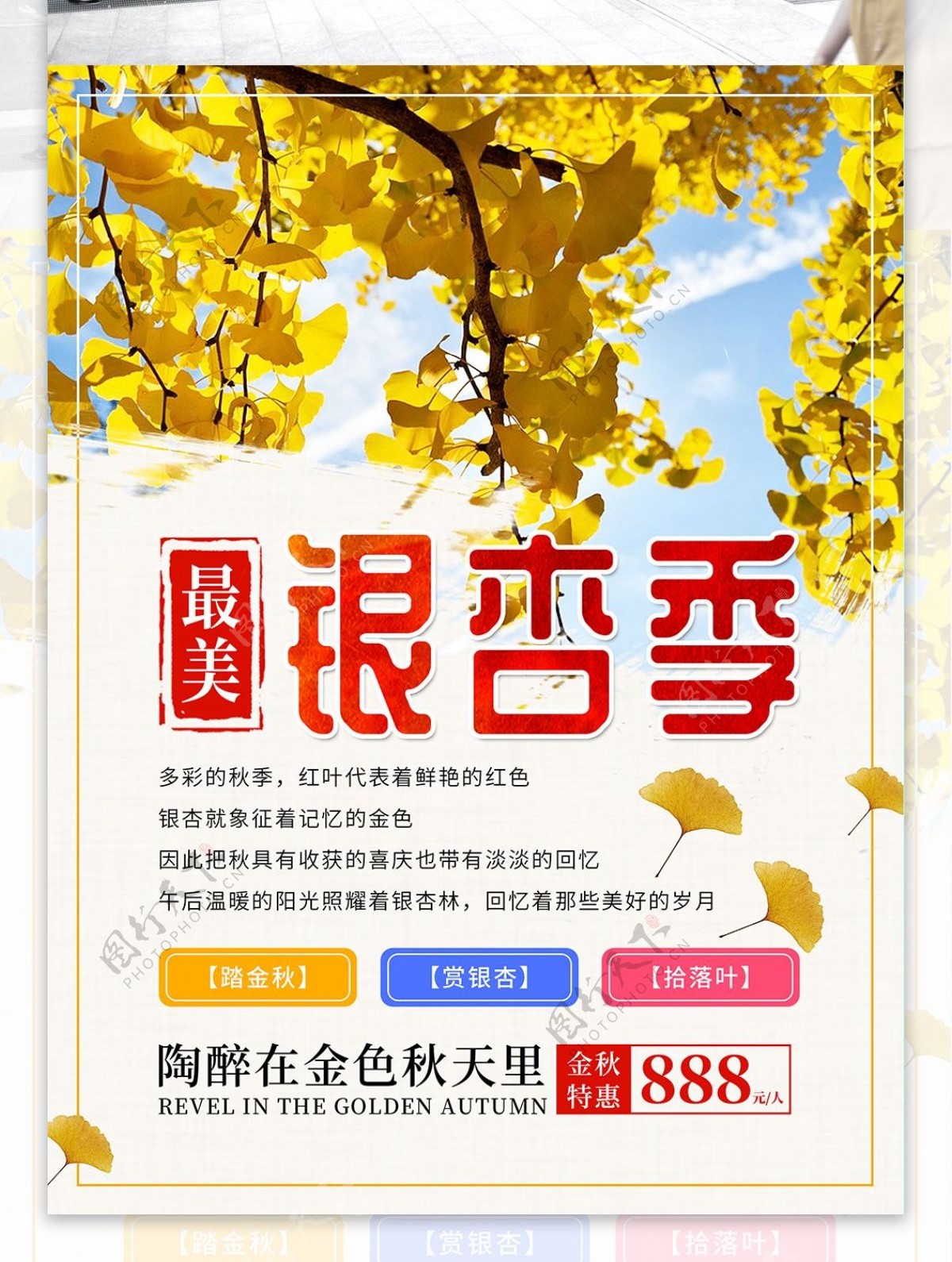 深秋银杏季旅游海报