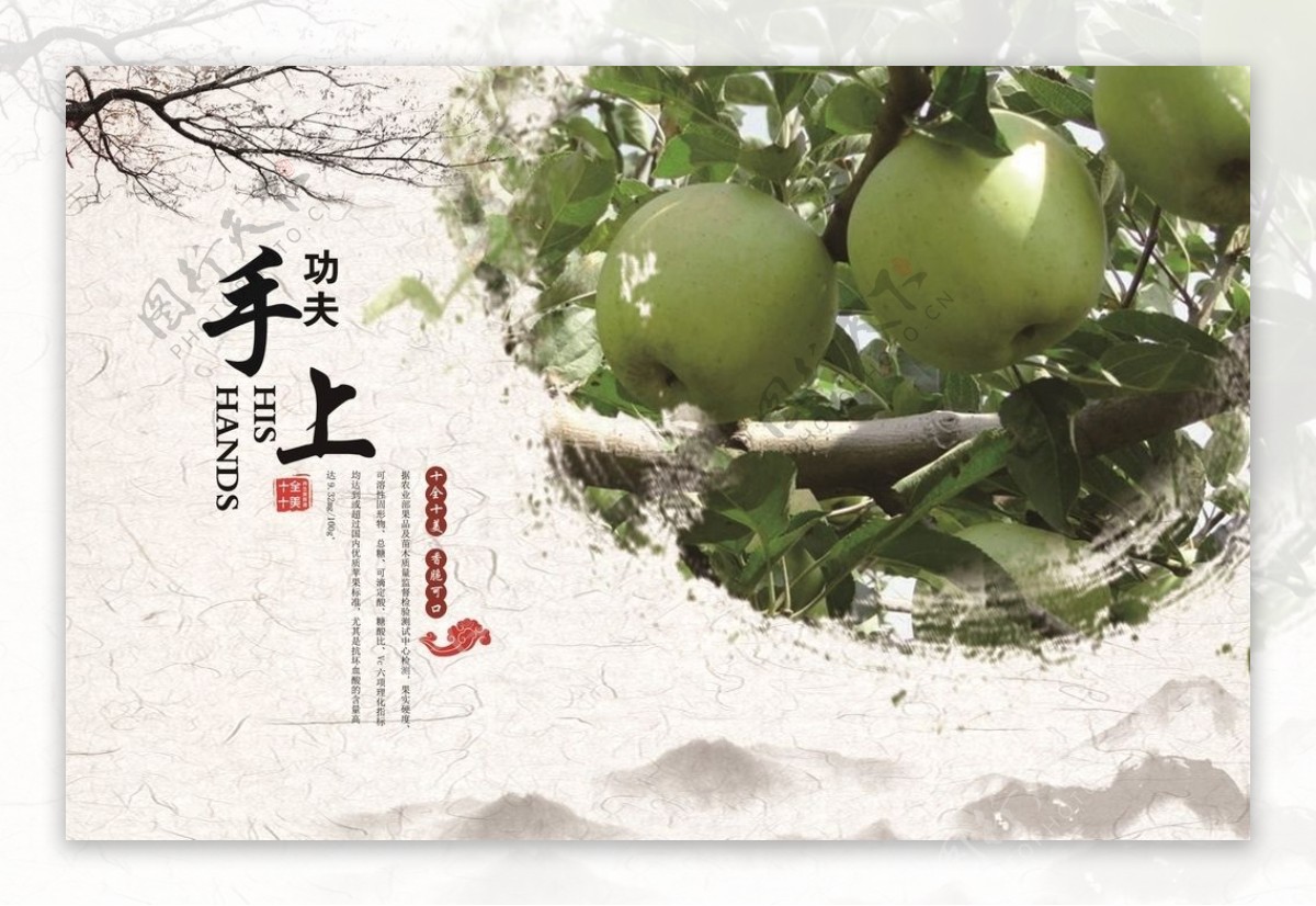 红富士苹果宣传册