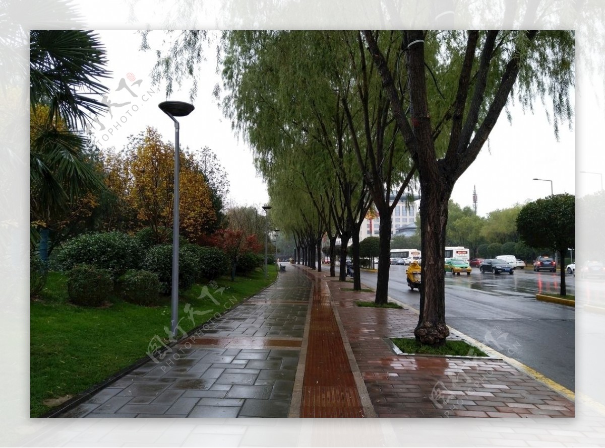 雨天的城市美景