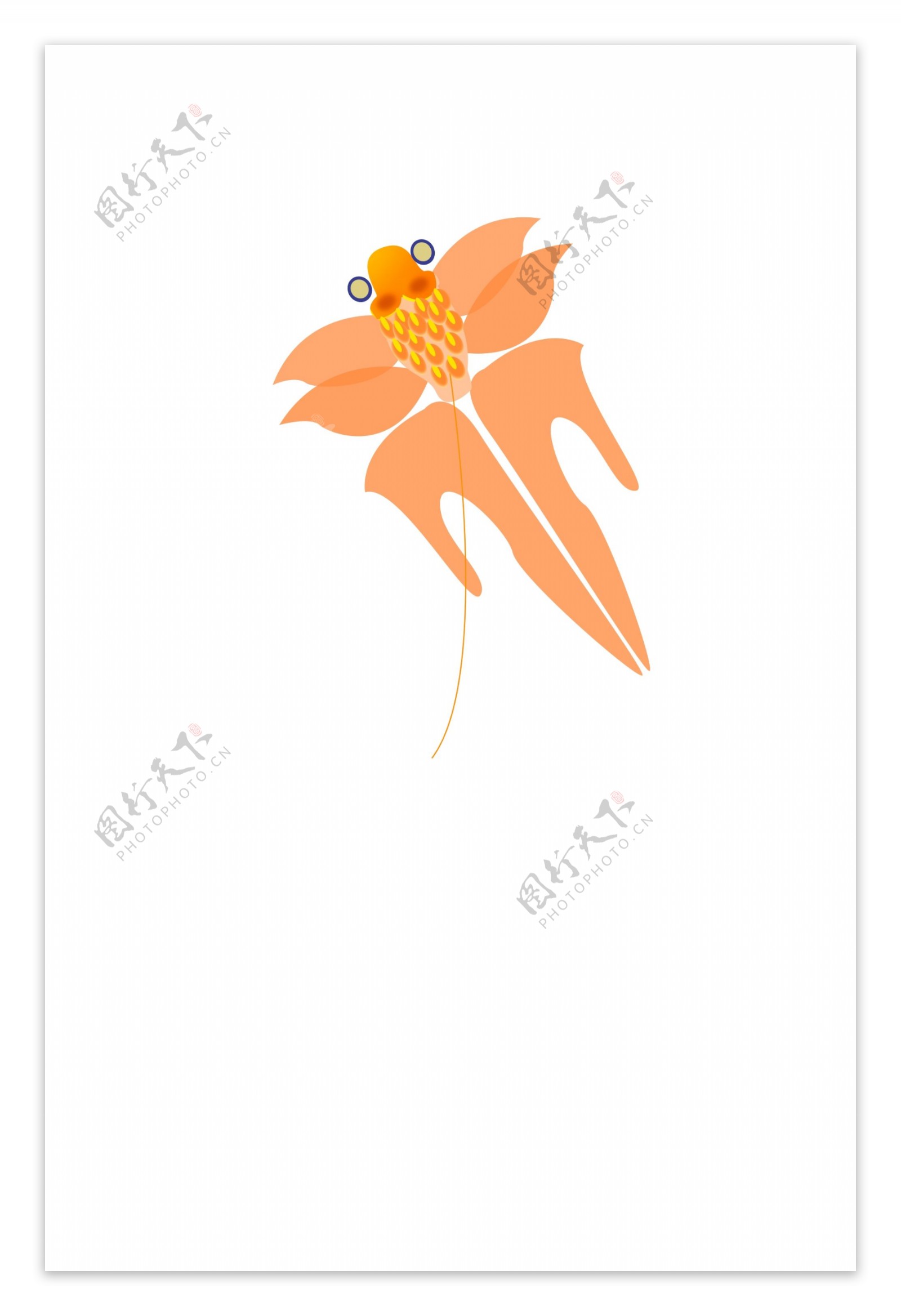橘黄色的金鱼风筝插画