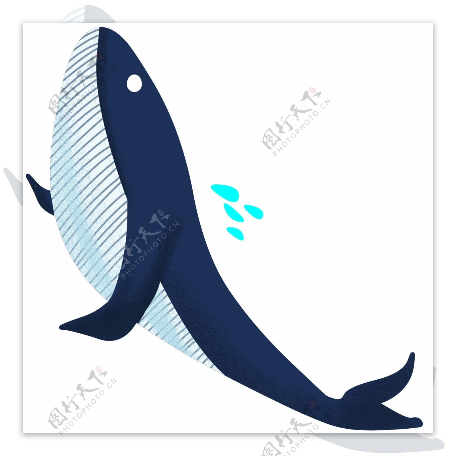 海洋世界鲸鱼插画