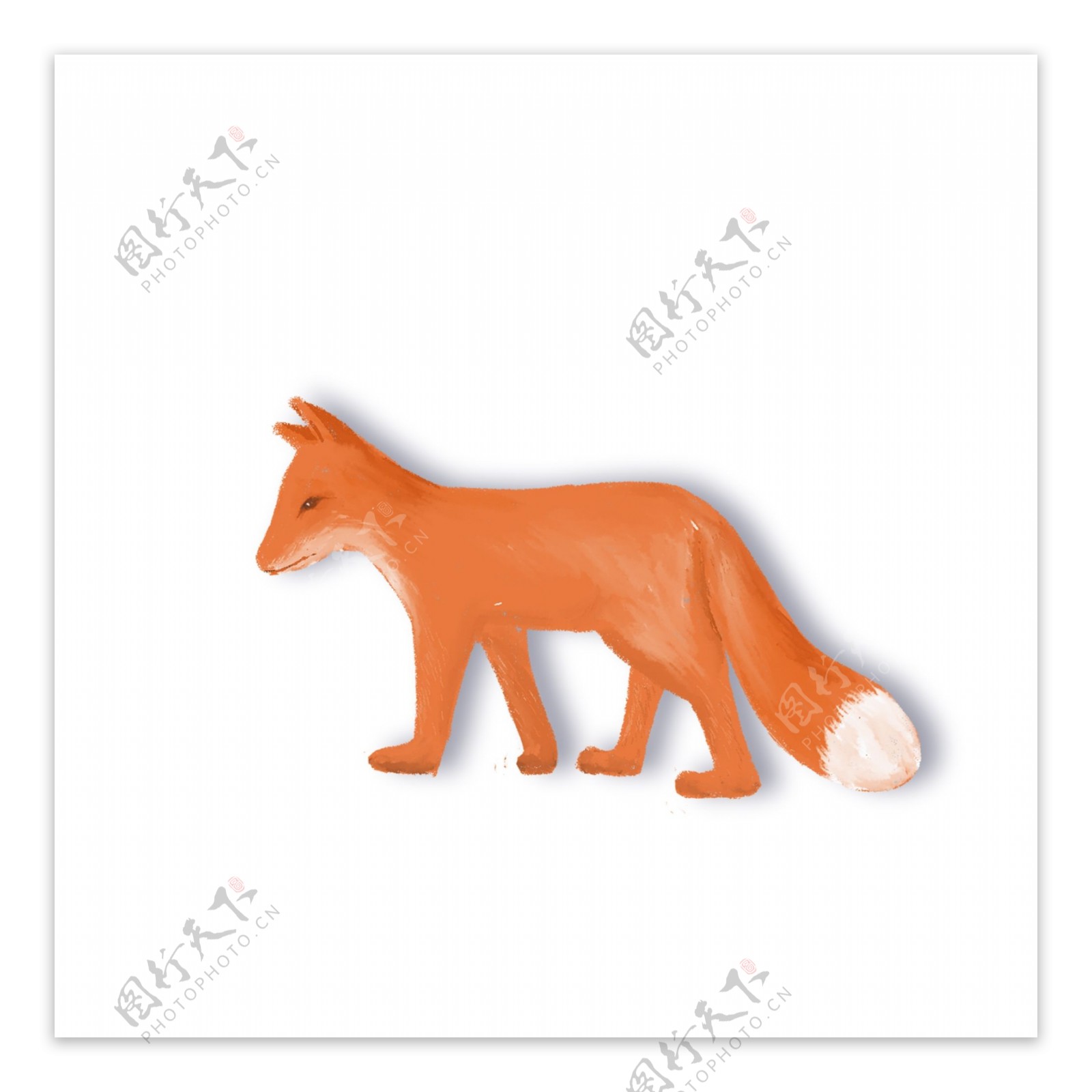 手绘森林动物小狐狸设计元素