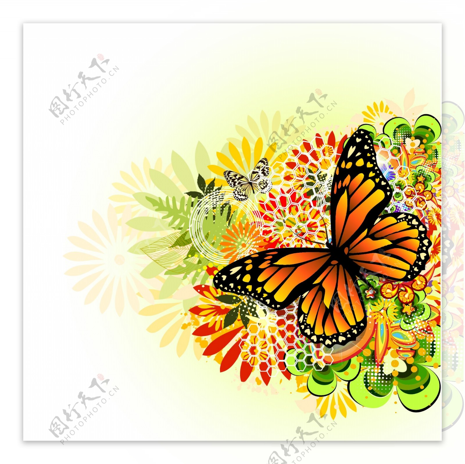 蝴蝶花卉设计背景