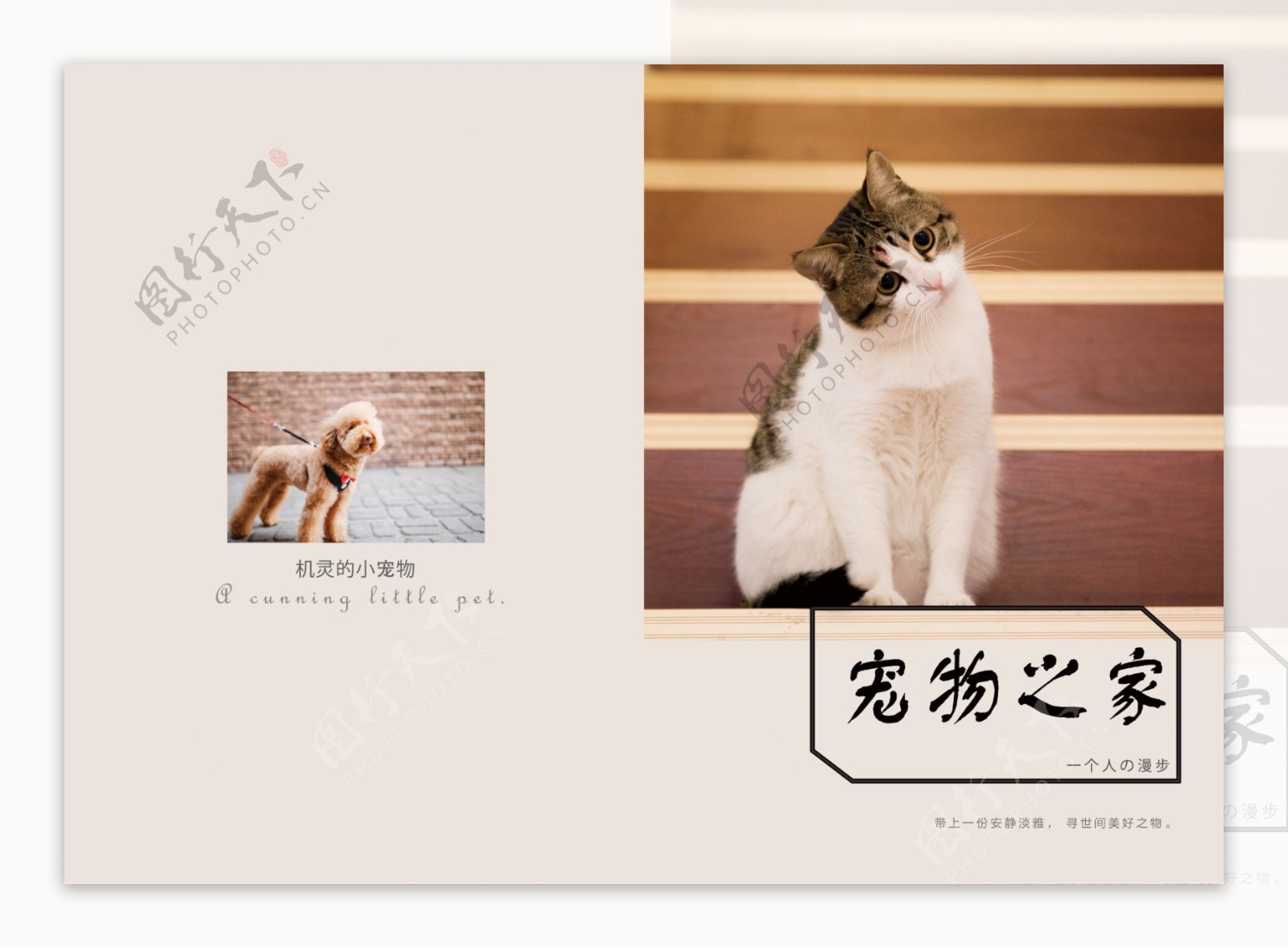 动物宠物之家画册设计