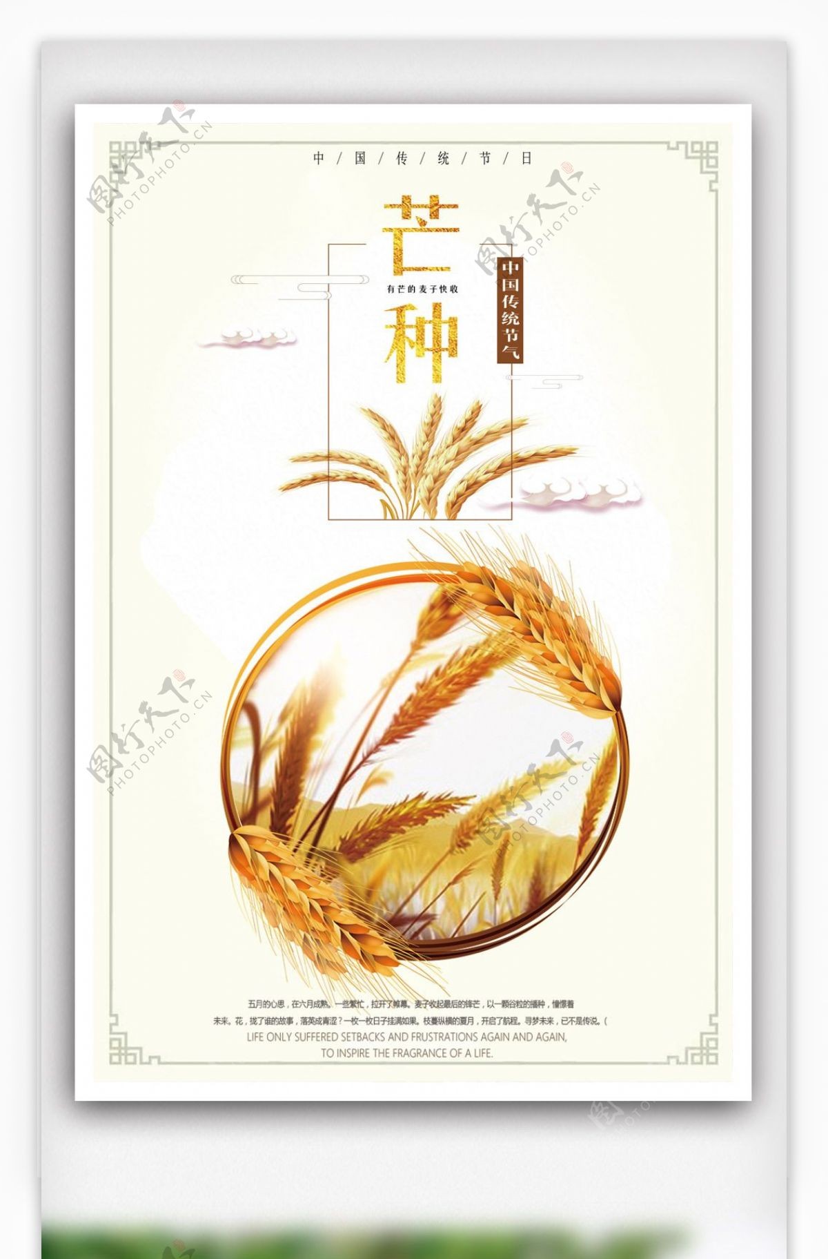 2018简约大气中国传统节气芒种海报