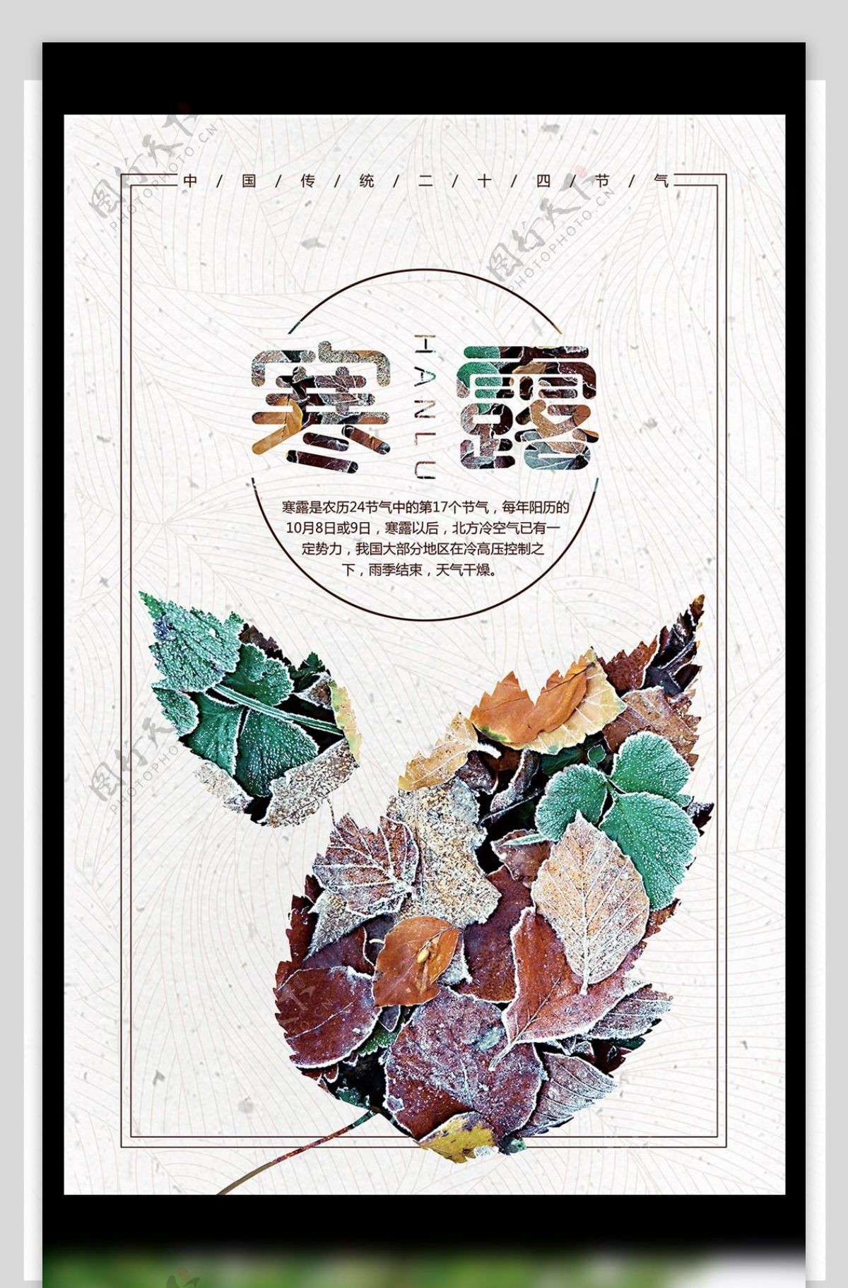 中国传统二十四节气寒露清新创意海报模板