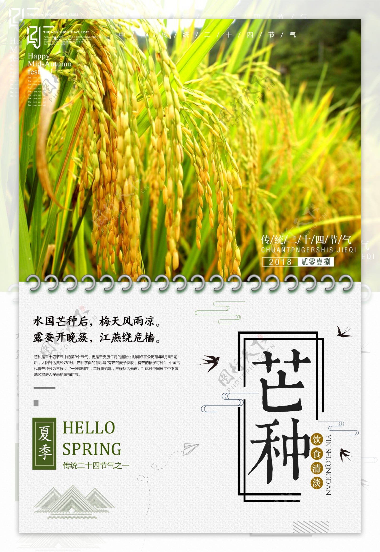 中国传统二十四节气芒种海报