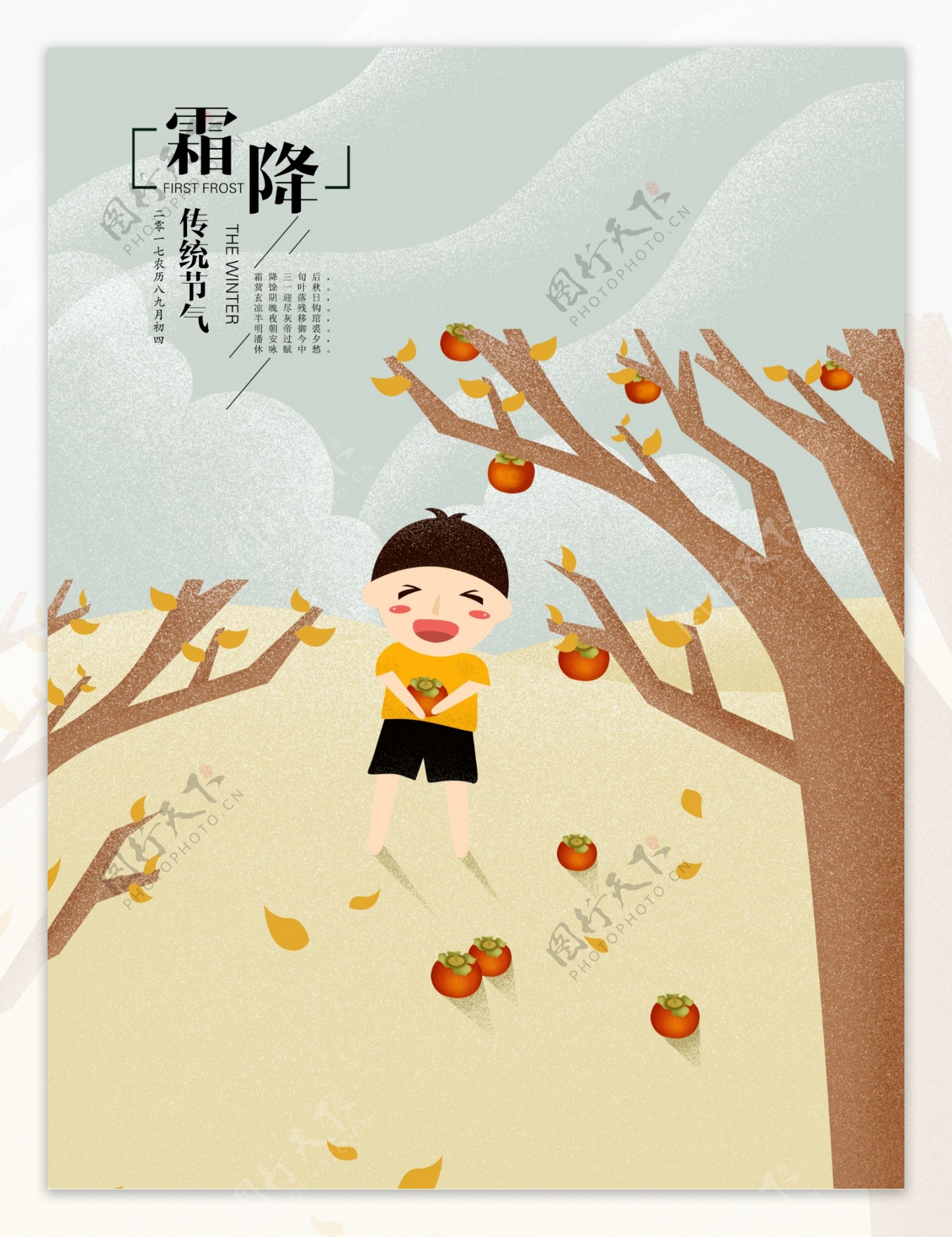 插画霜降柿子树手绘海报