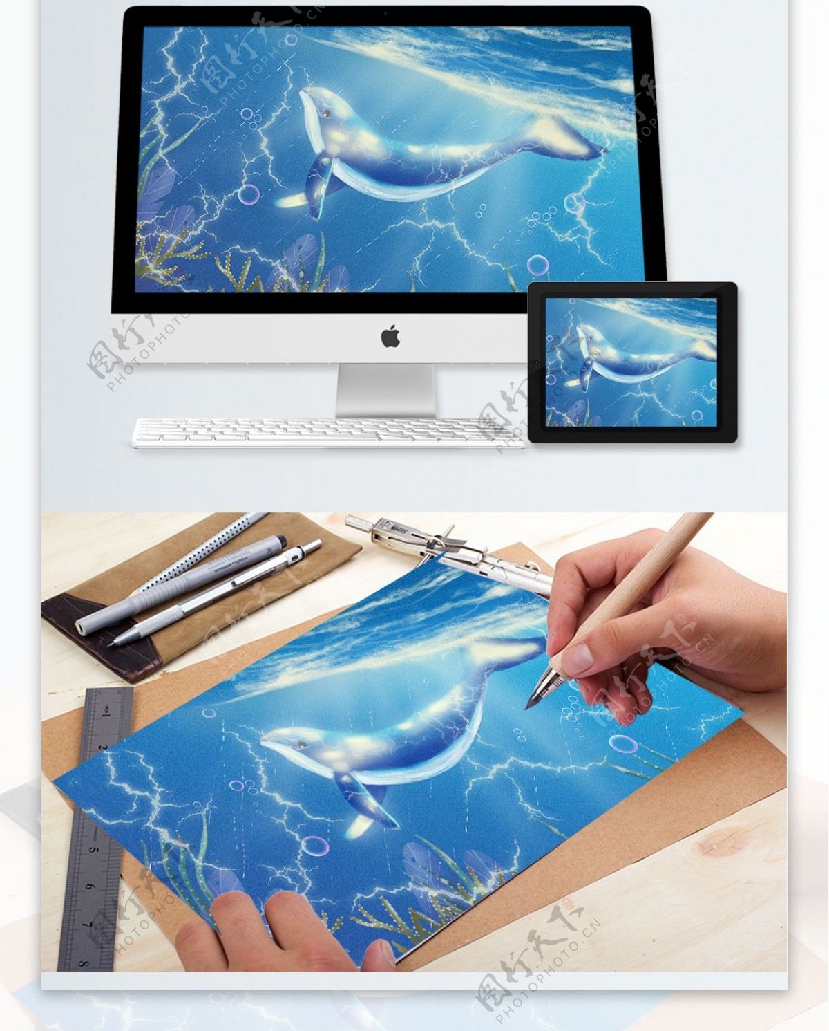 治愈系手绘写实风海蓝时见鲸插画海报