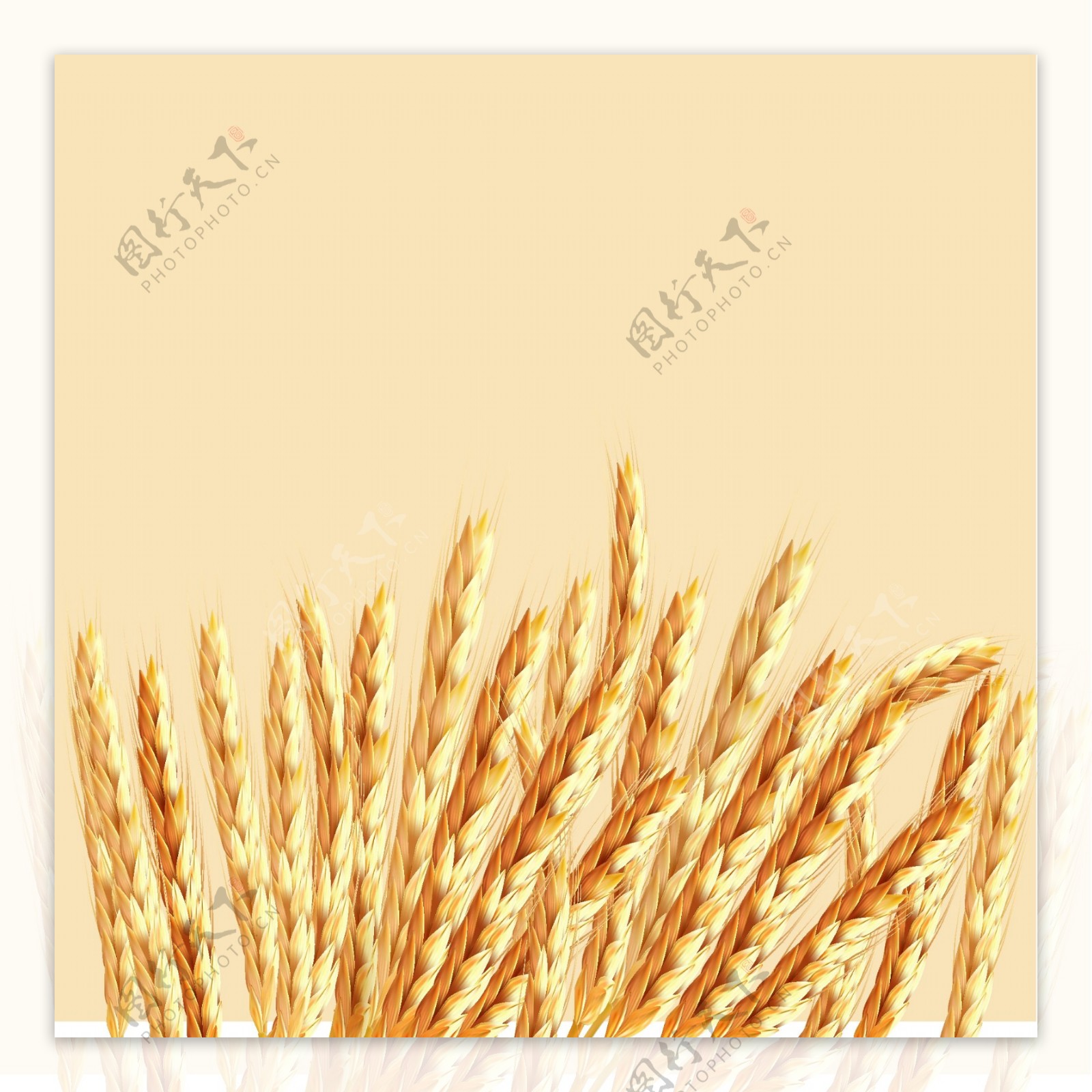 矢量手绘简约金色麦穗粉底背景素材