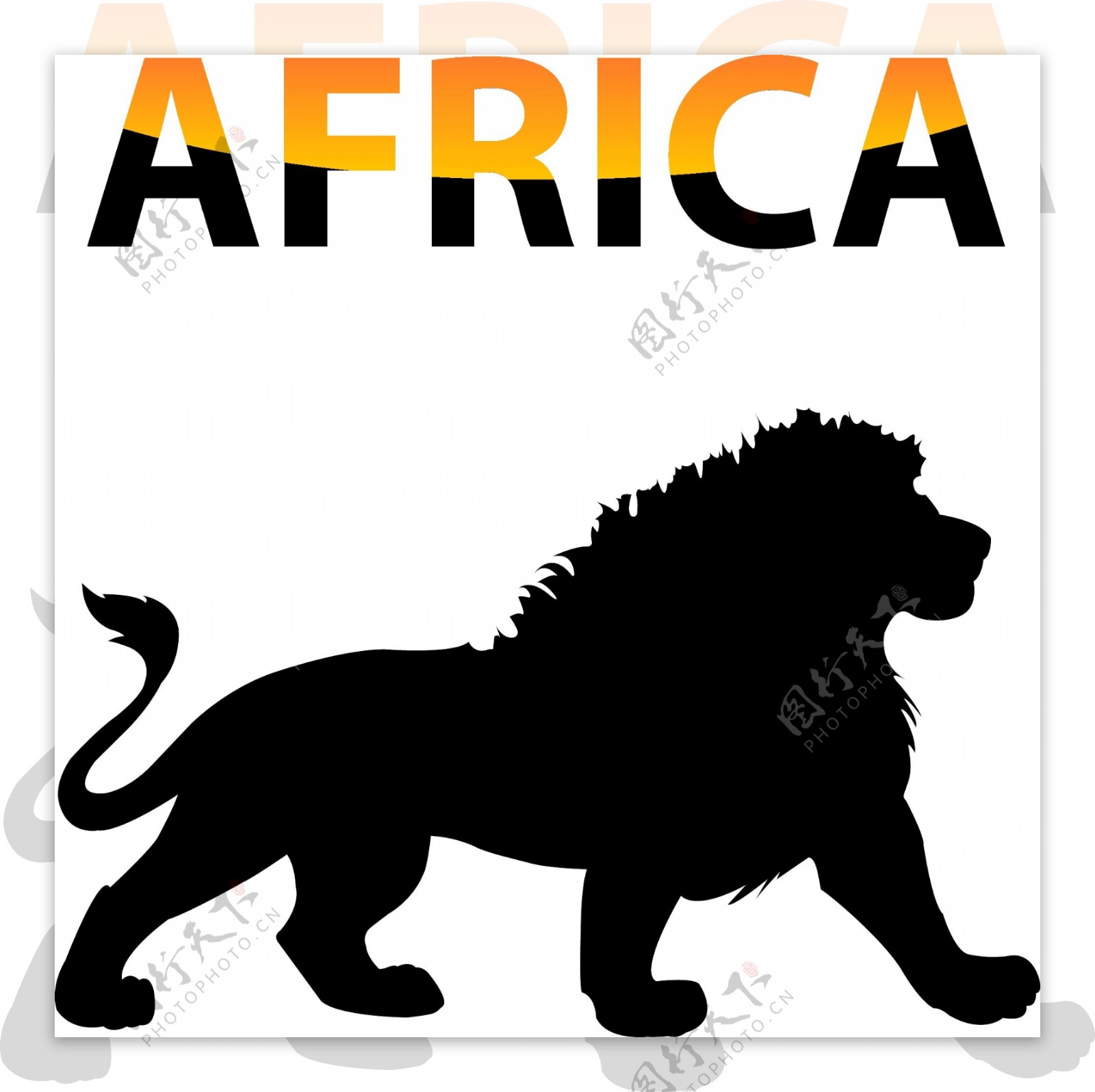 非洲狮子矢量海报