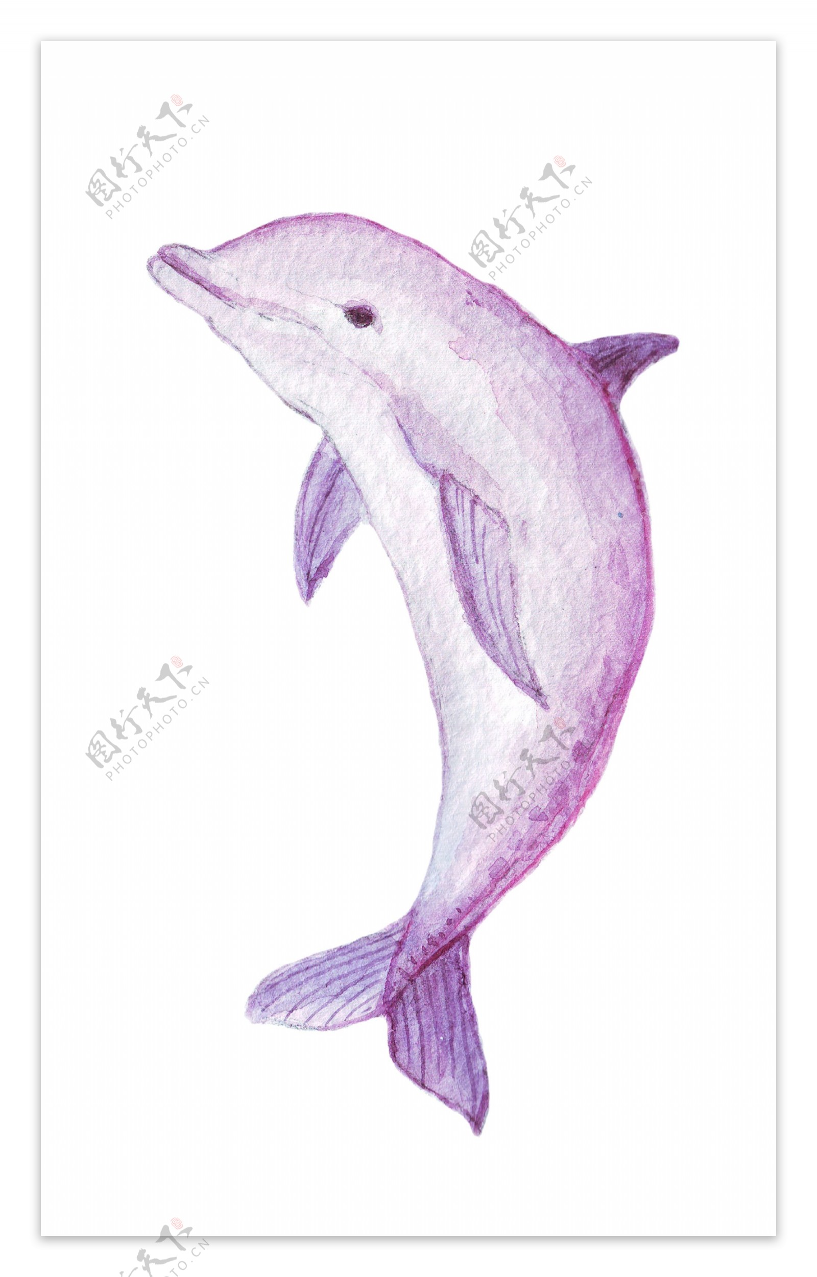 水彩粉色鲸鱼矢量素材