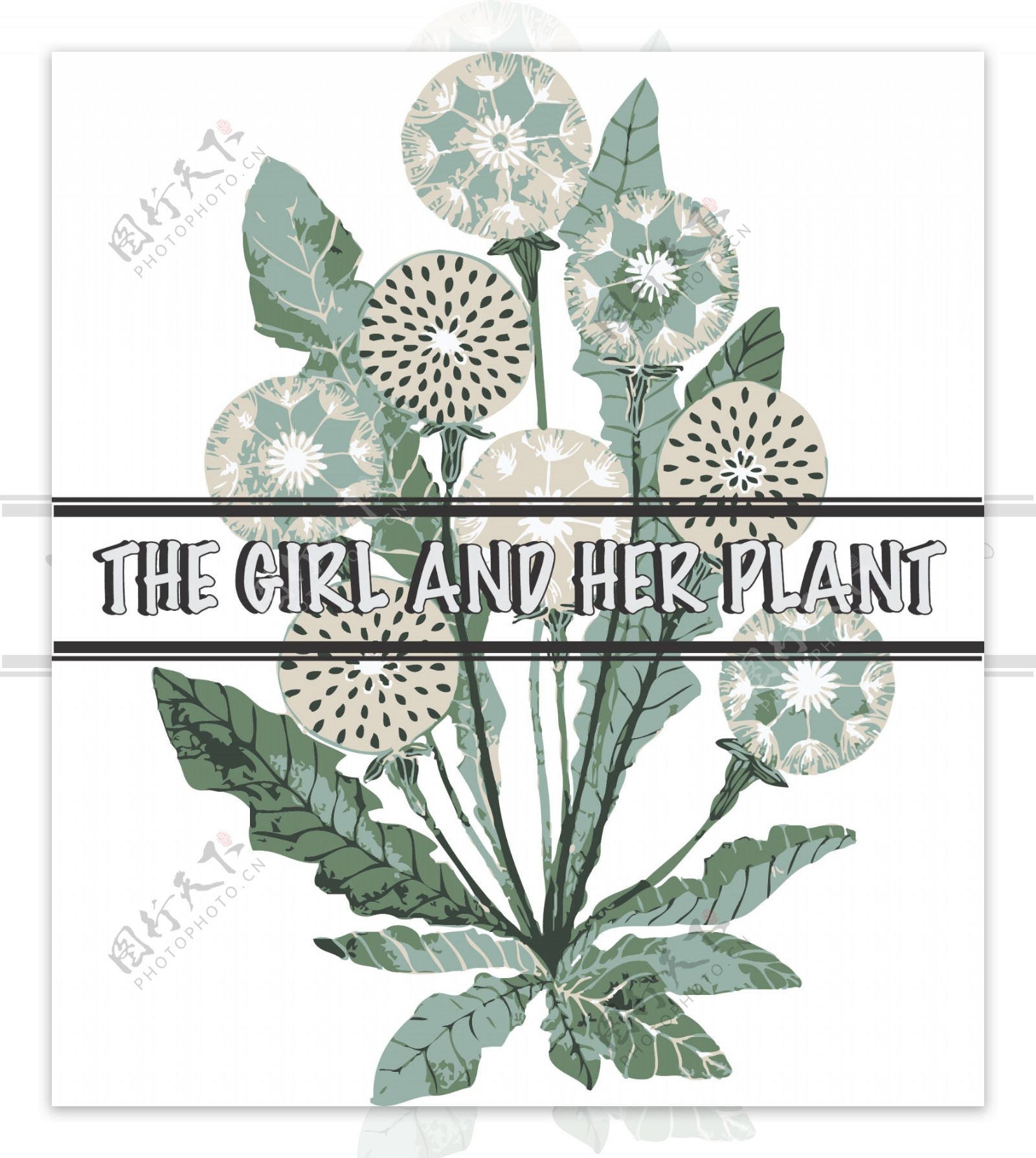 植物印花装饰图案