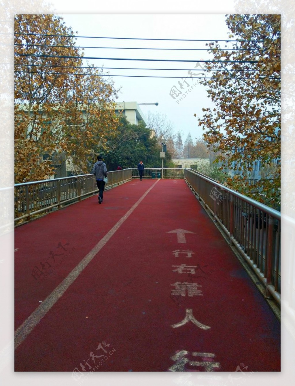 城市道路风景