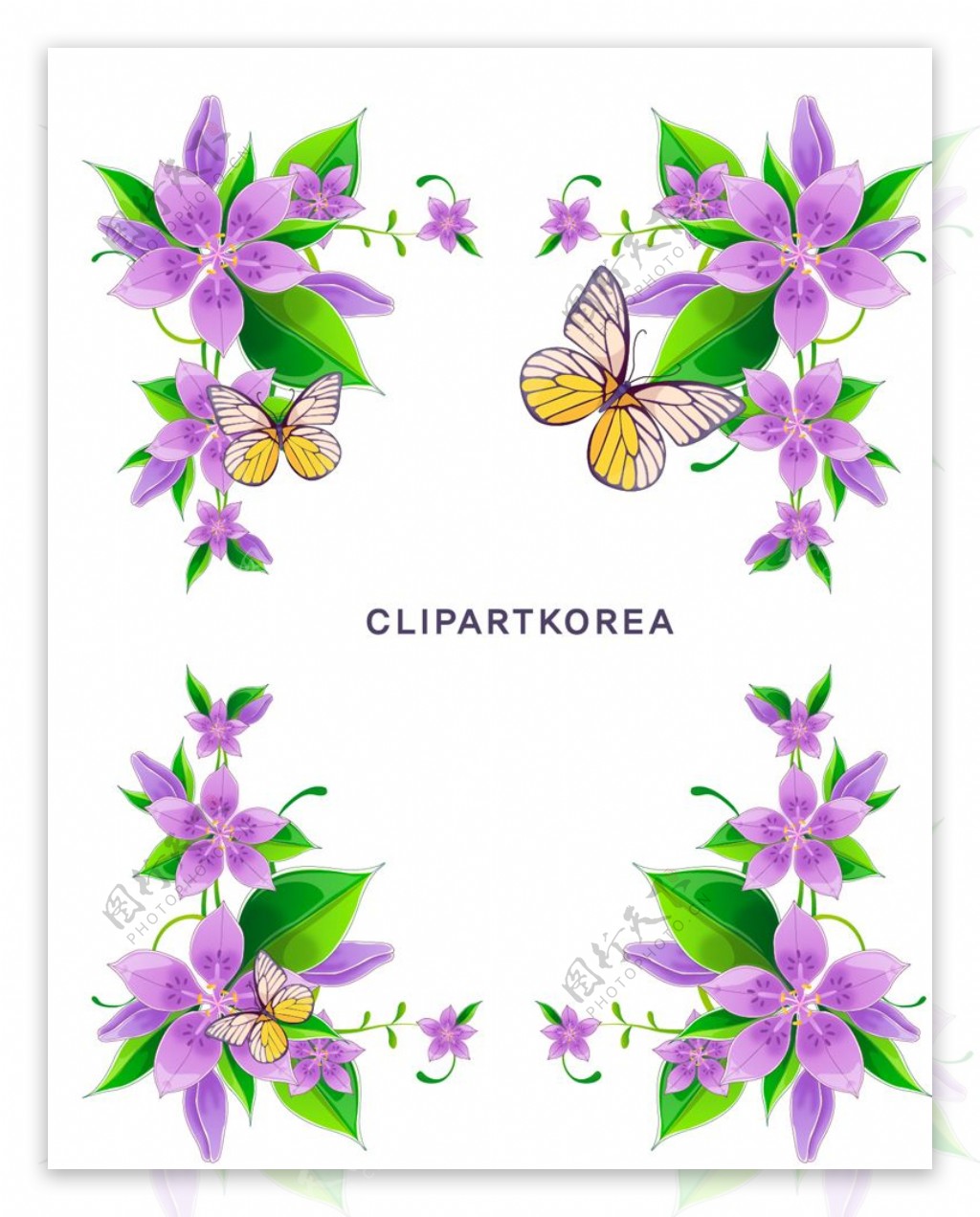 紫色花卉蝴蝶花边