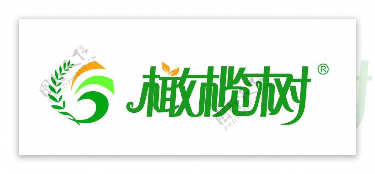 橄榄树logo