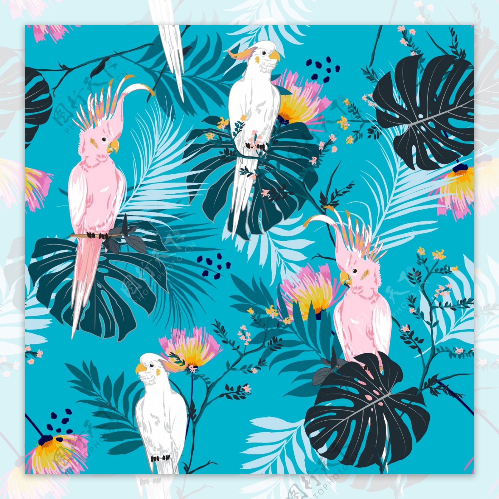 鹦鹉动物卡通热带花卉图案
