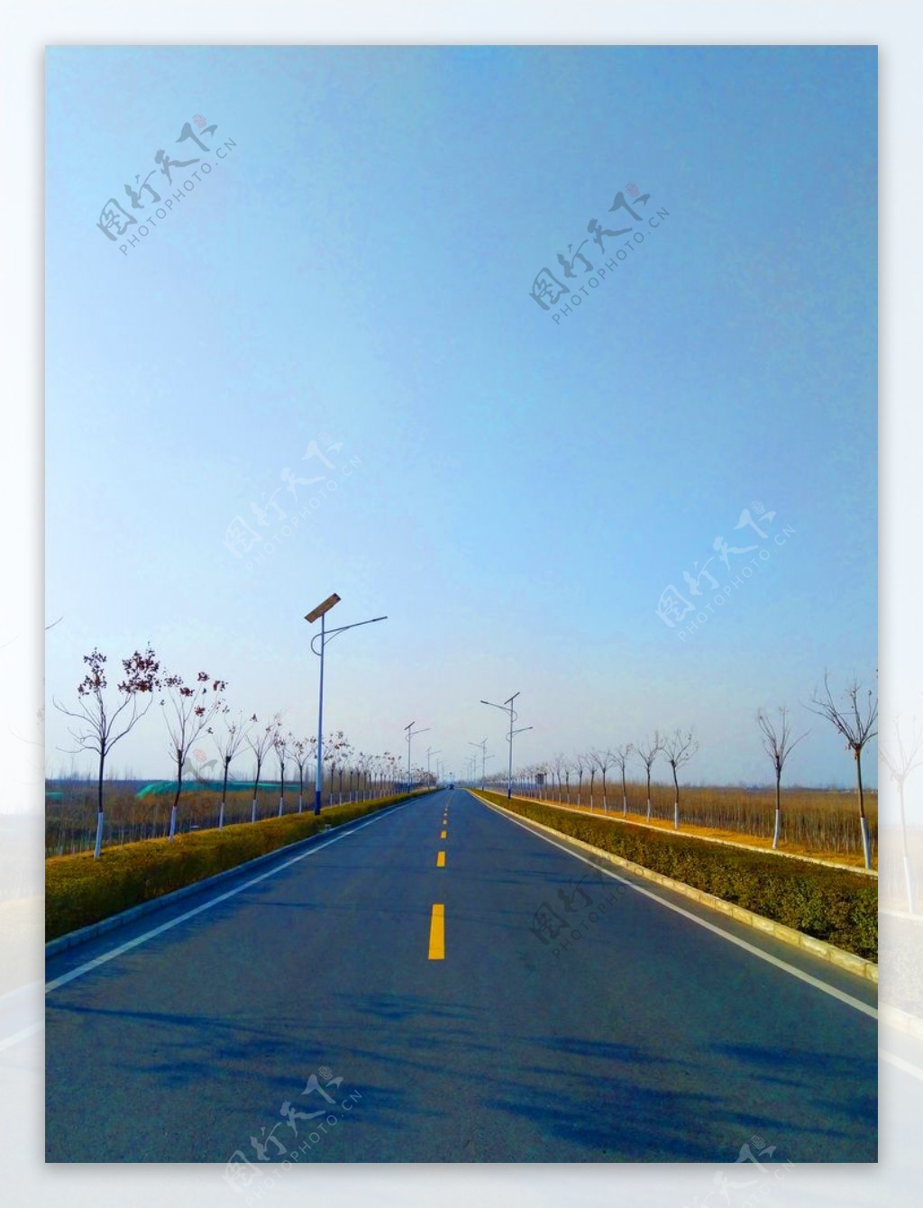 深秋时节的道路风景