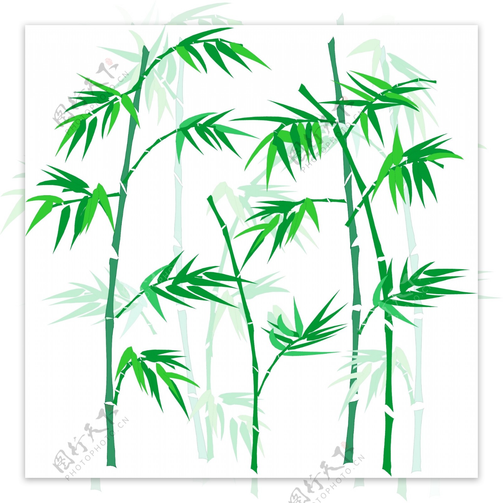绿色竹子