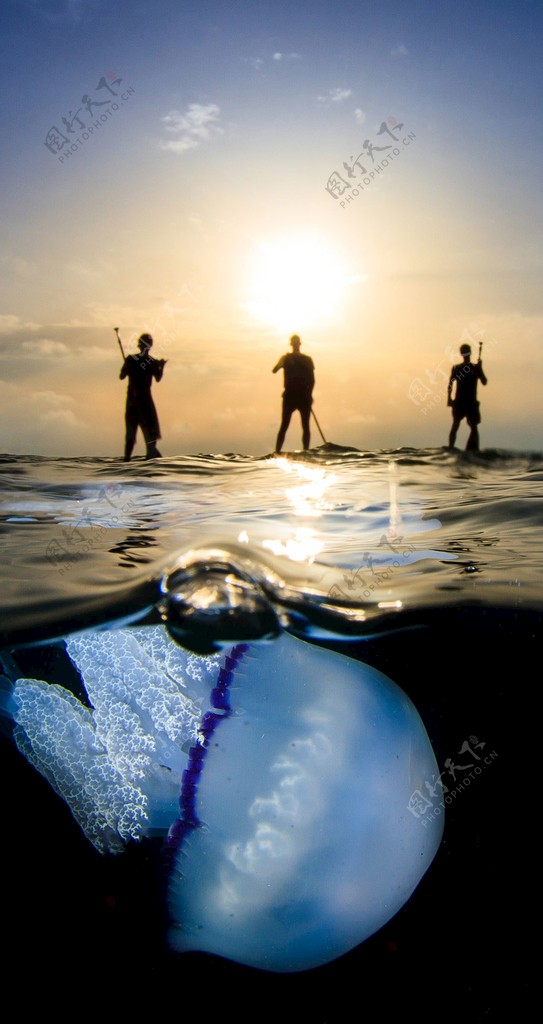 海边落日晚霞图