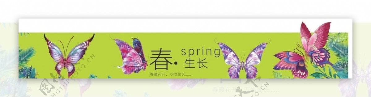 春天蝴蝶海报春季