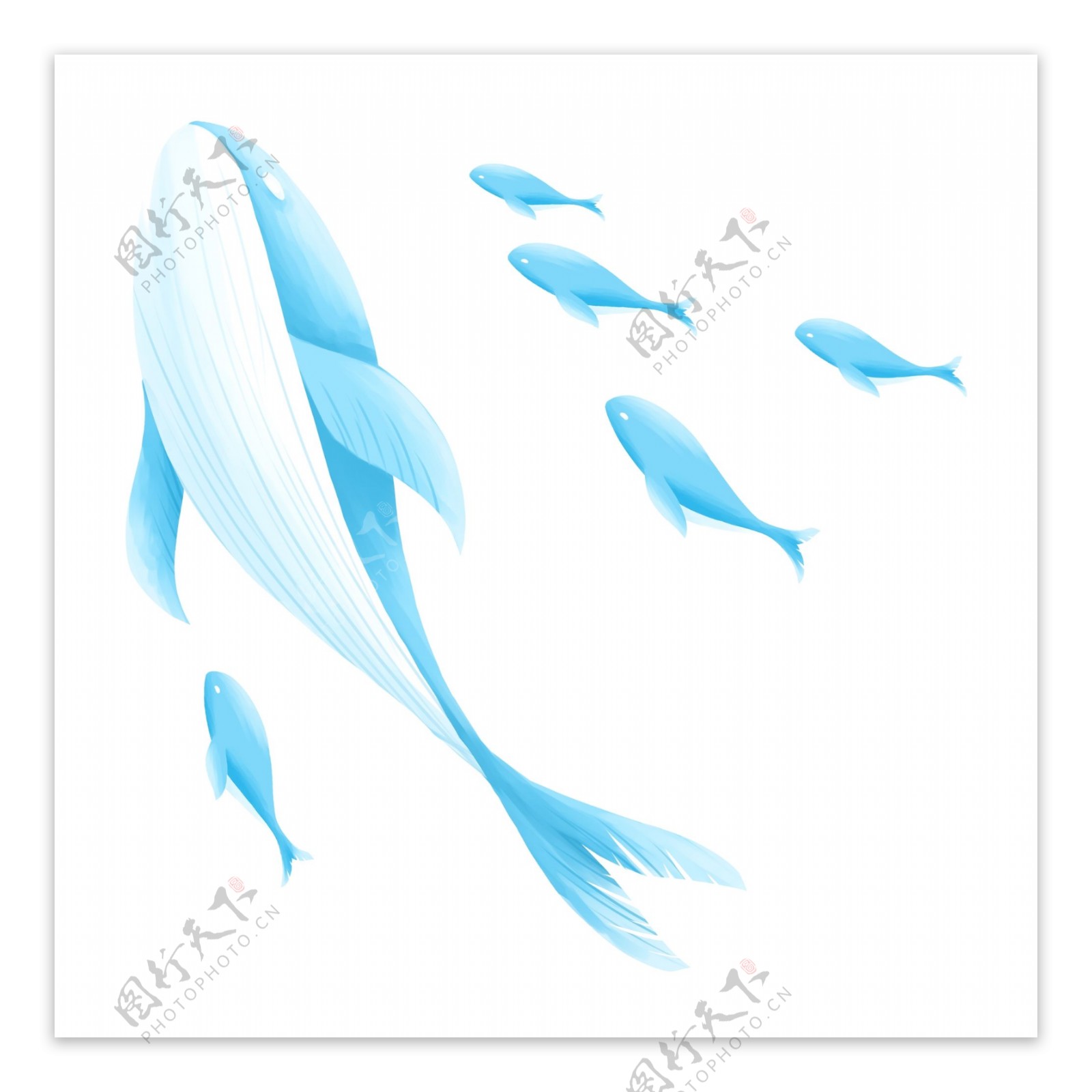 手绘清新蓝色鲸鱼透明素材