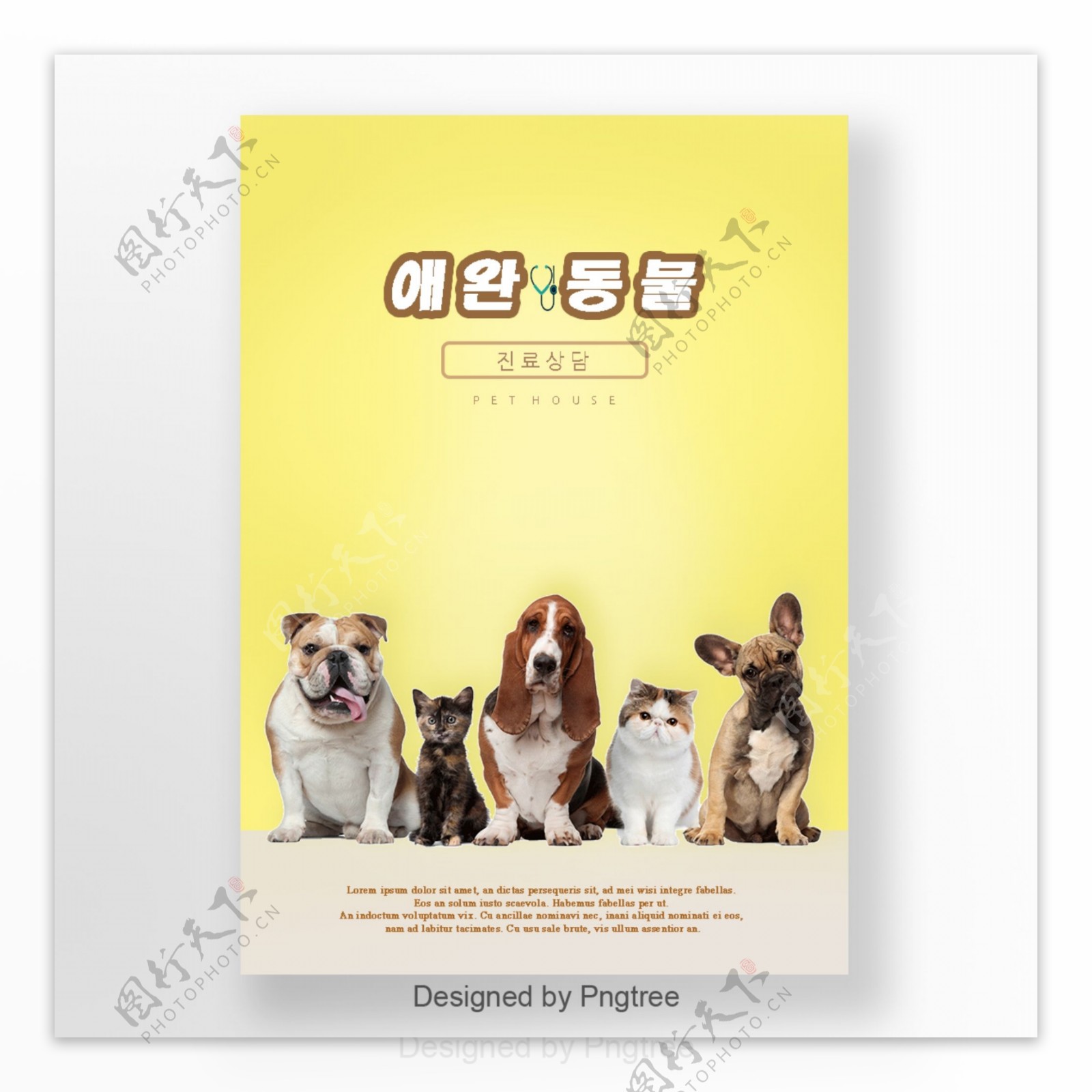可爱的黄色宠物护理海报