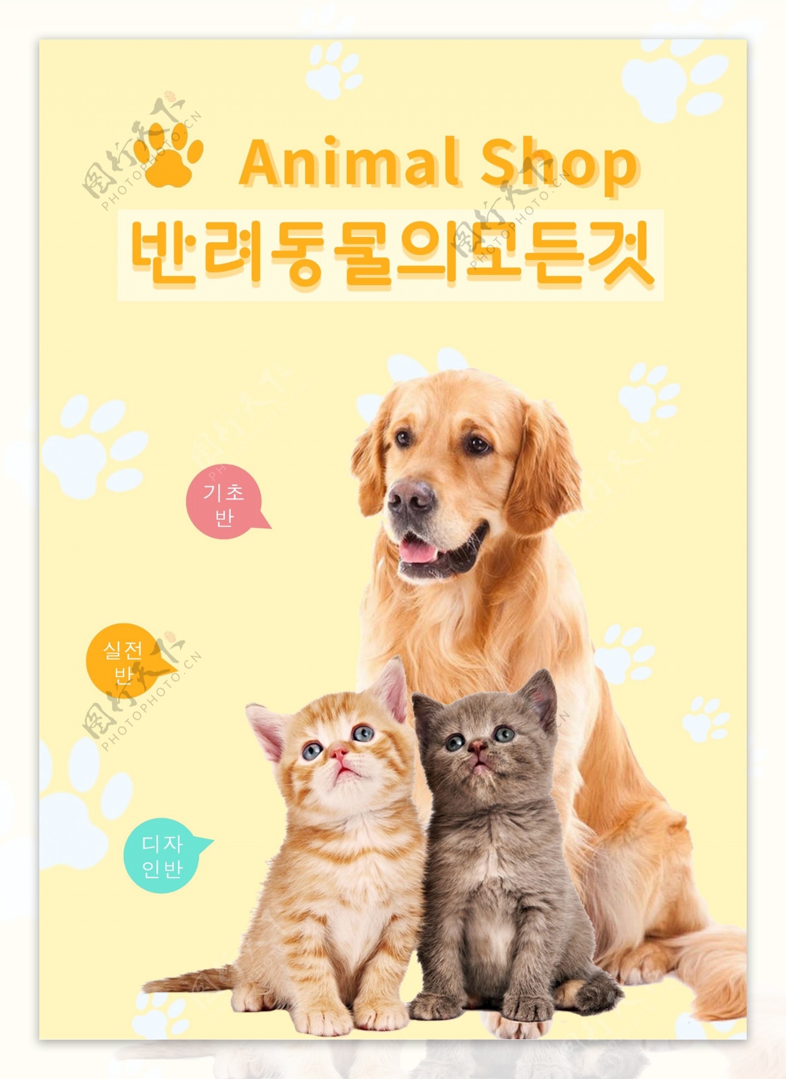 黄色宠物可爱互动海报