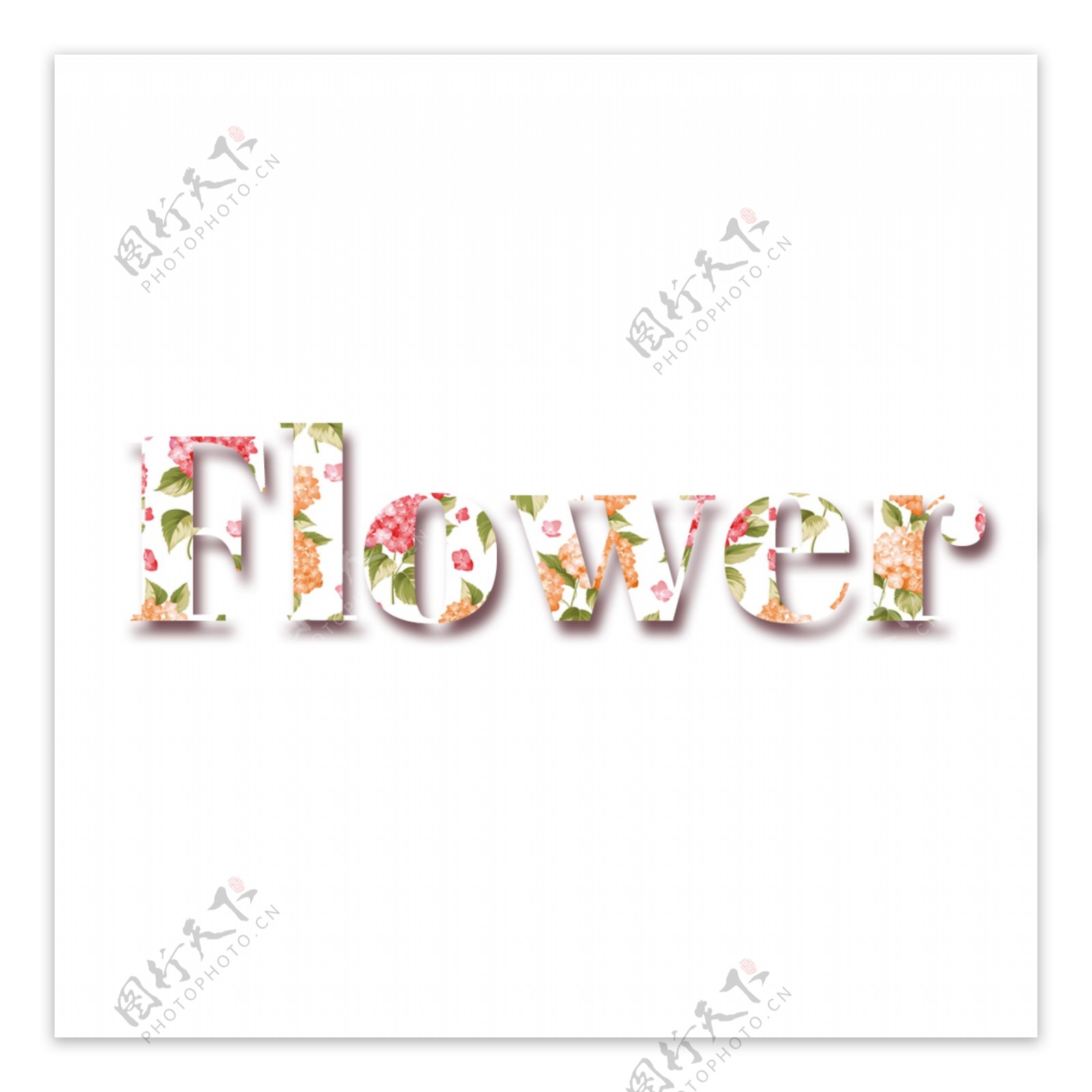 五颜六色的鲜花简单的字体