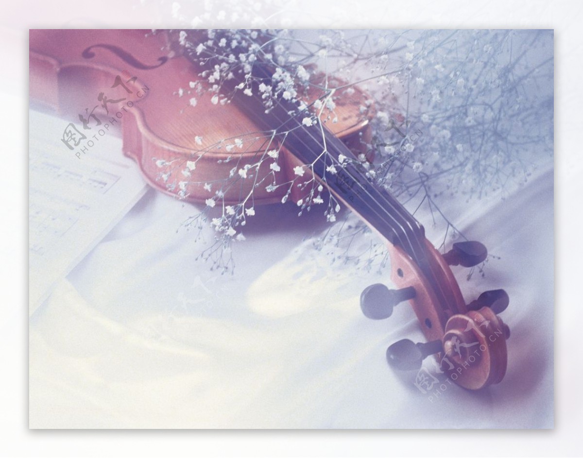 唯美的小提琴