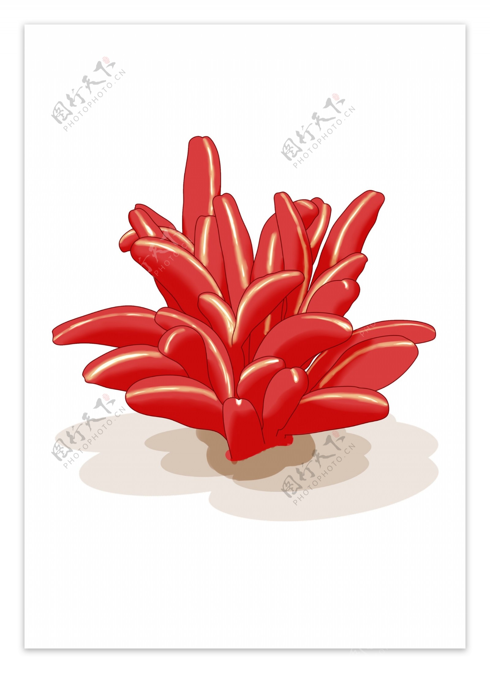 手绘红色多肉植物素材背景装饰元素