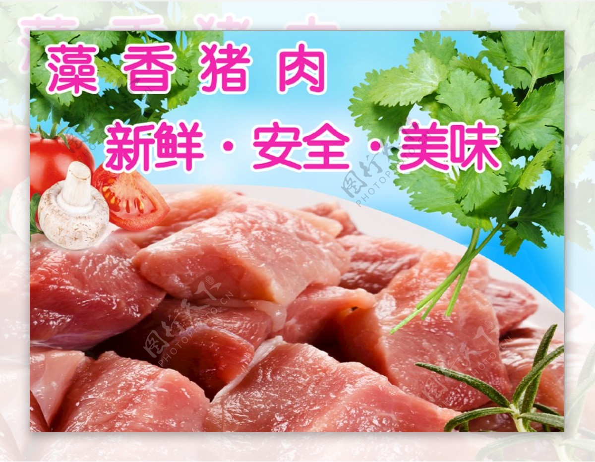 藻香猪黑猪肉新鲜肉写真宣传海报