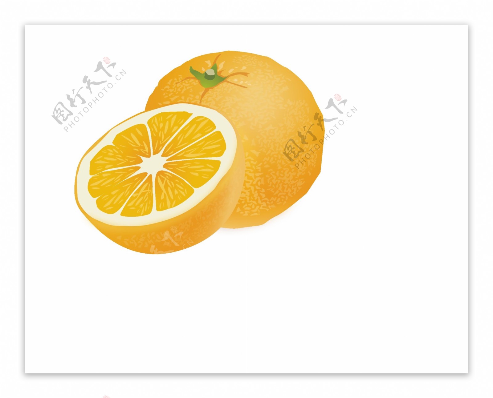 橙子橘子桔子矢量图