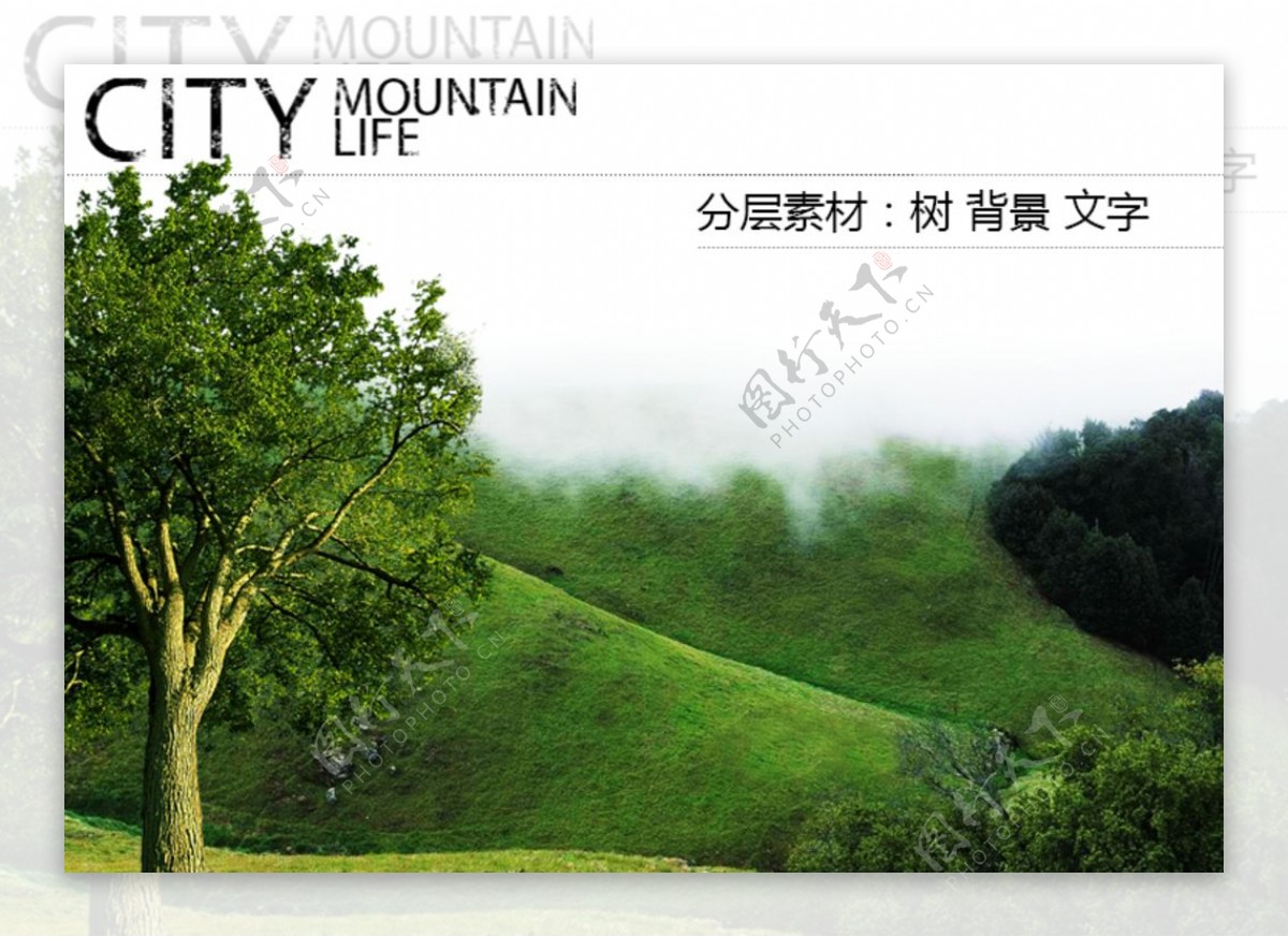 自媒体网页专用分层树木绿色美景